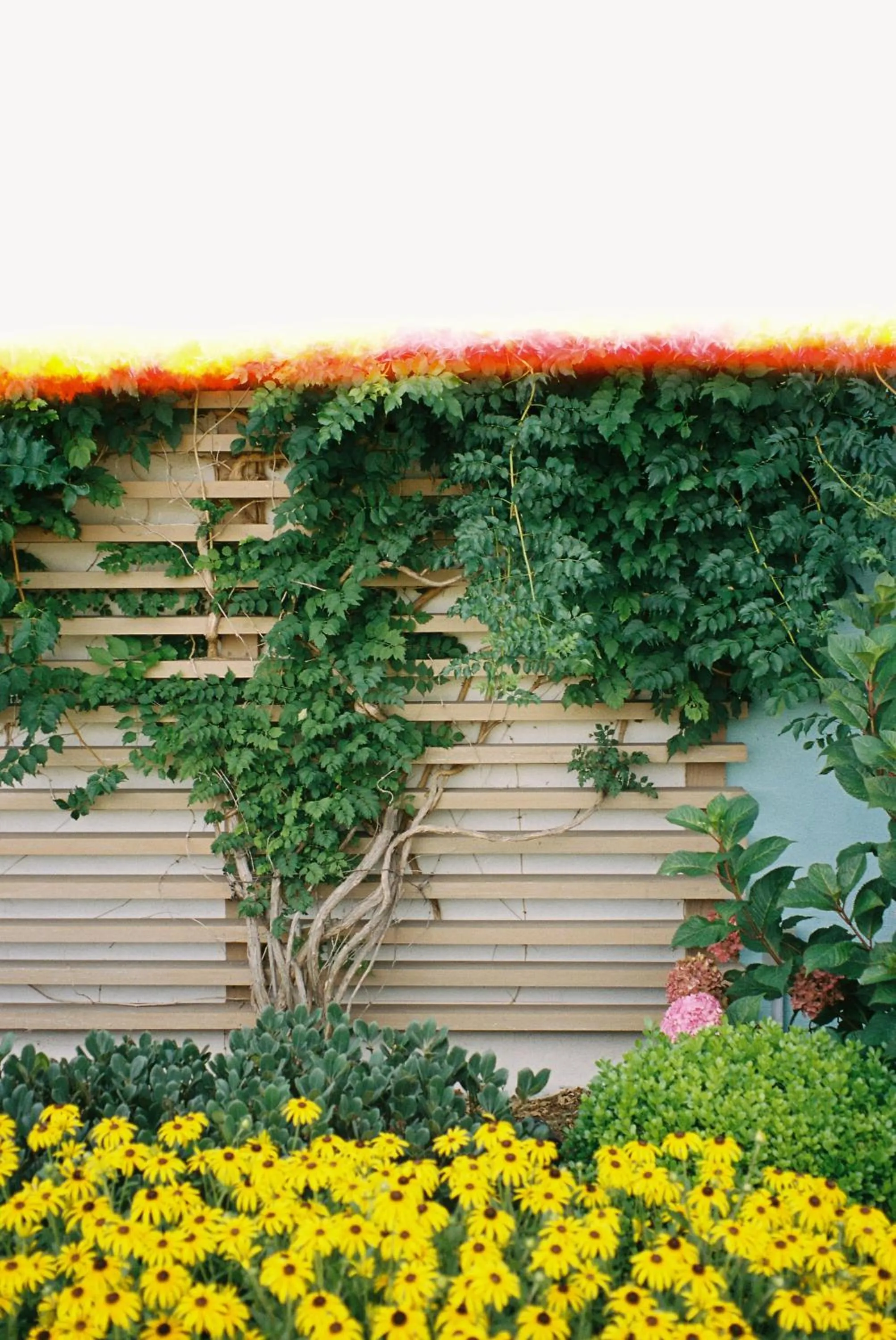 Day in Boarding House Cape May