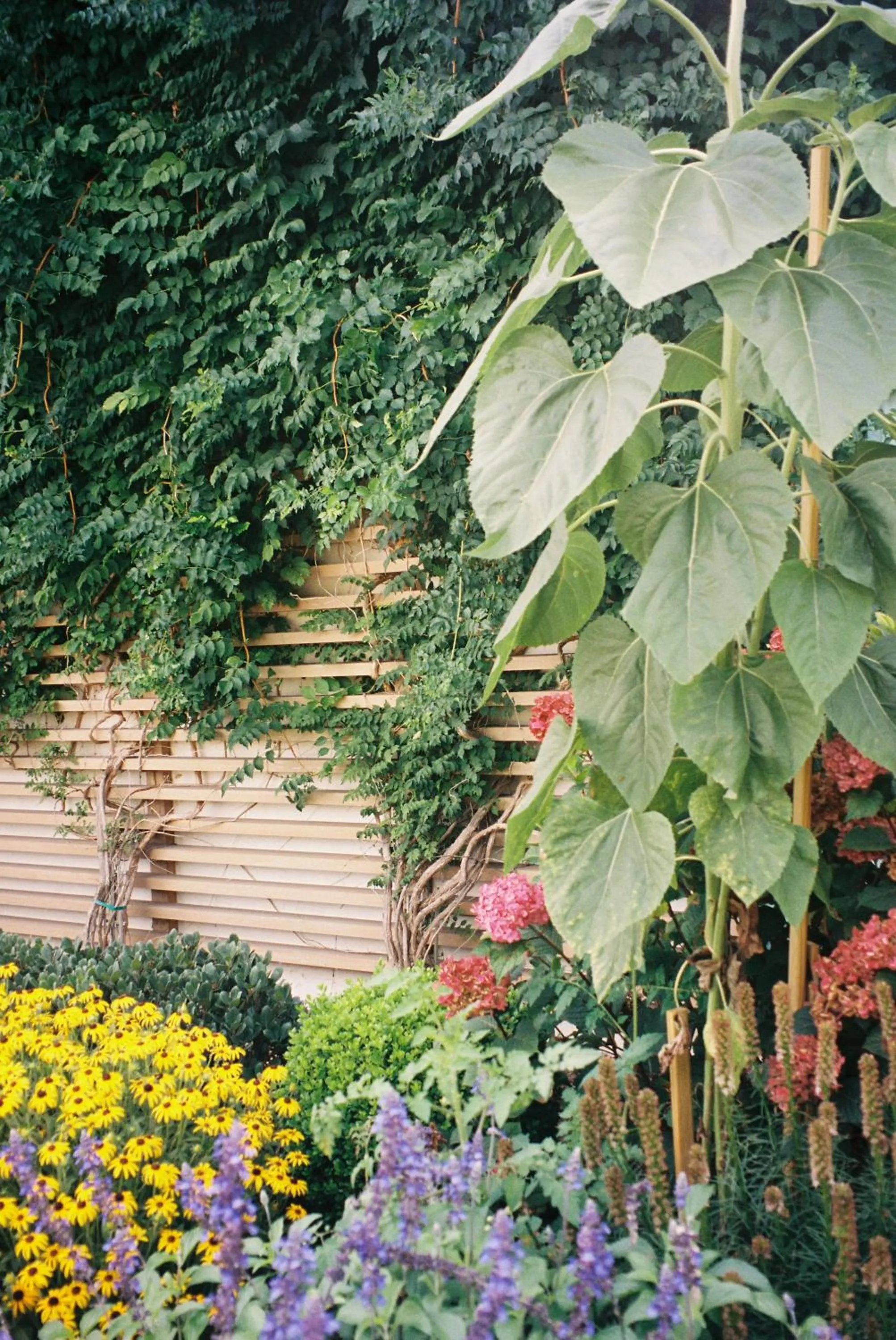 Day in Boarding House Cape May