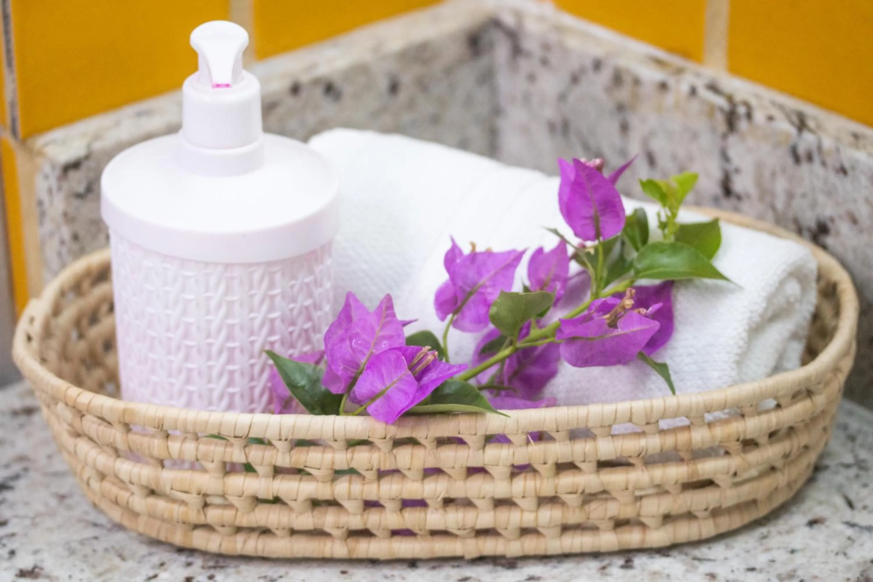 Pipas Ocean by Pipa Centro