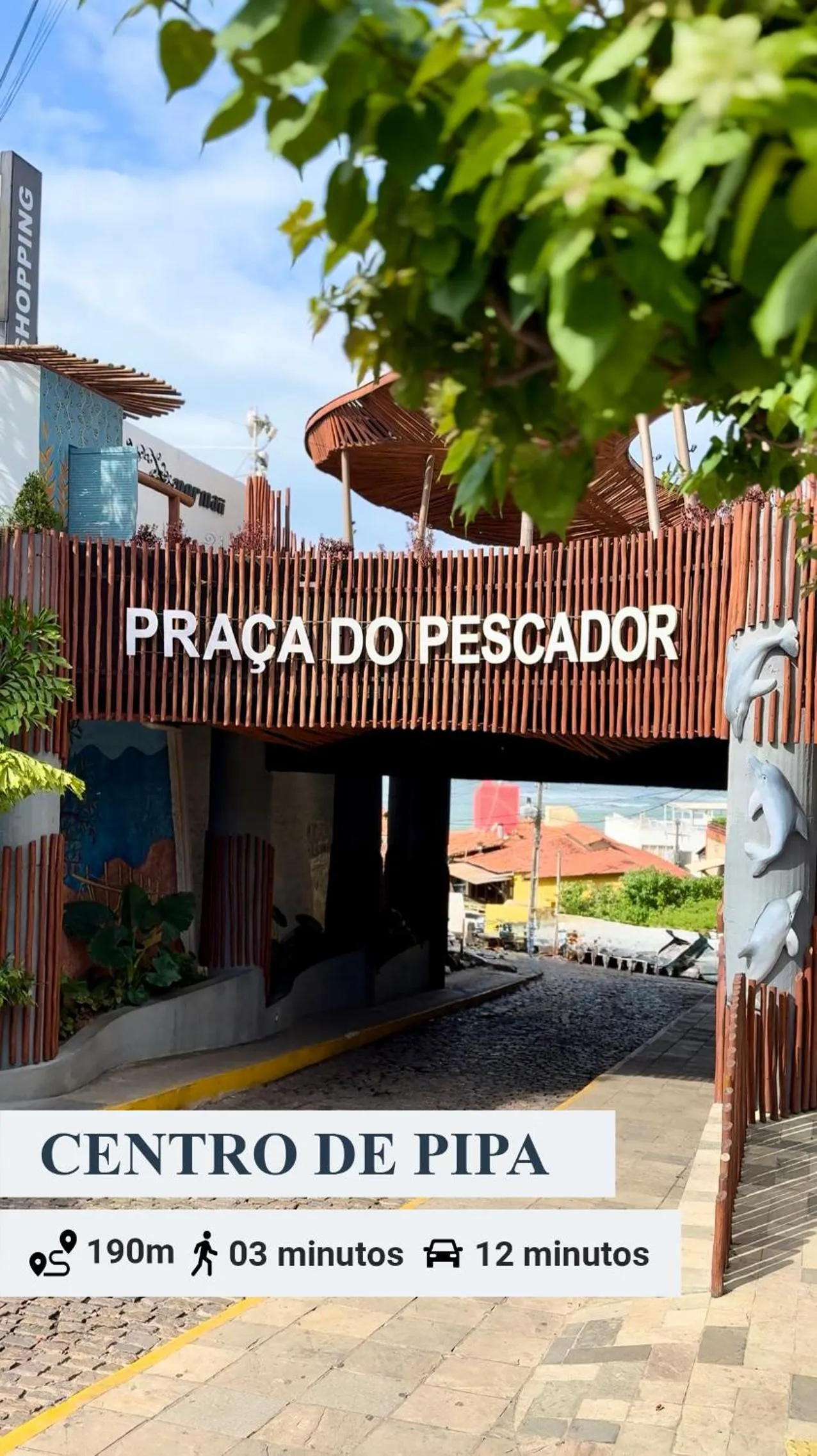 Pipas Ocean by Pipa Centro