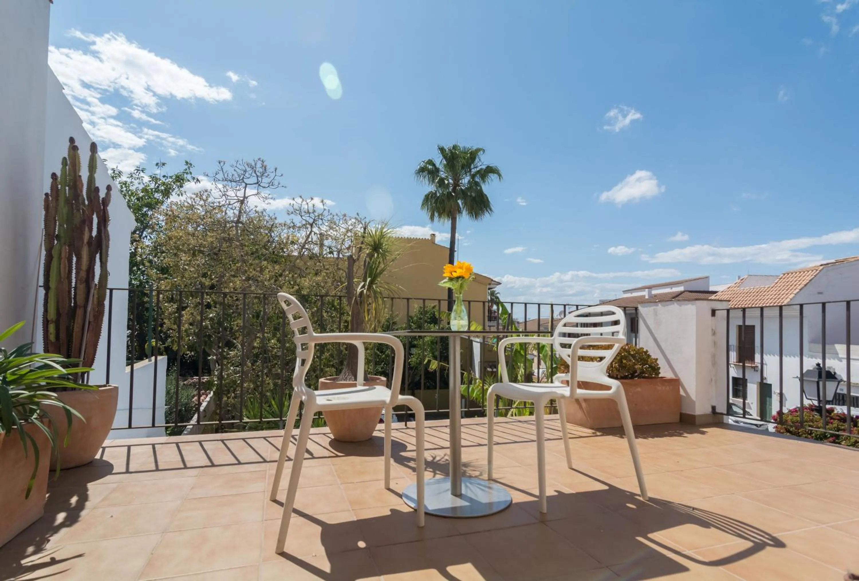 Balcony/Terrace in Hotel Nou Romà