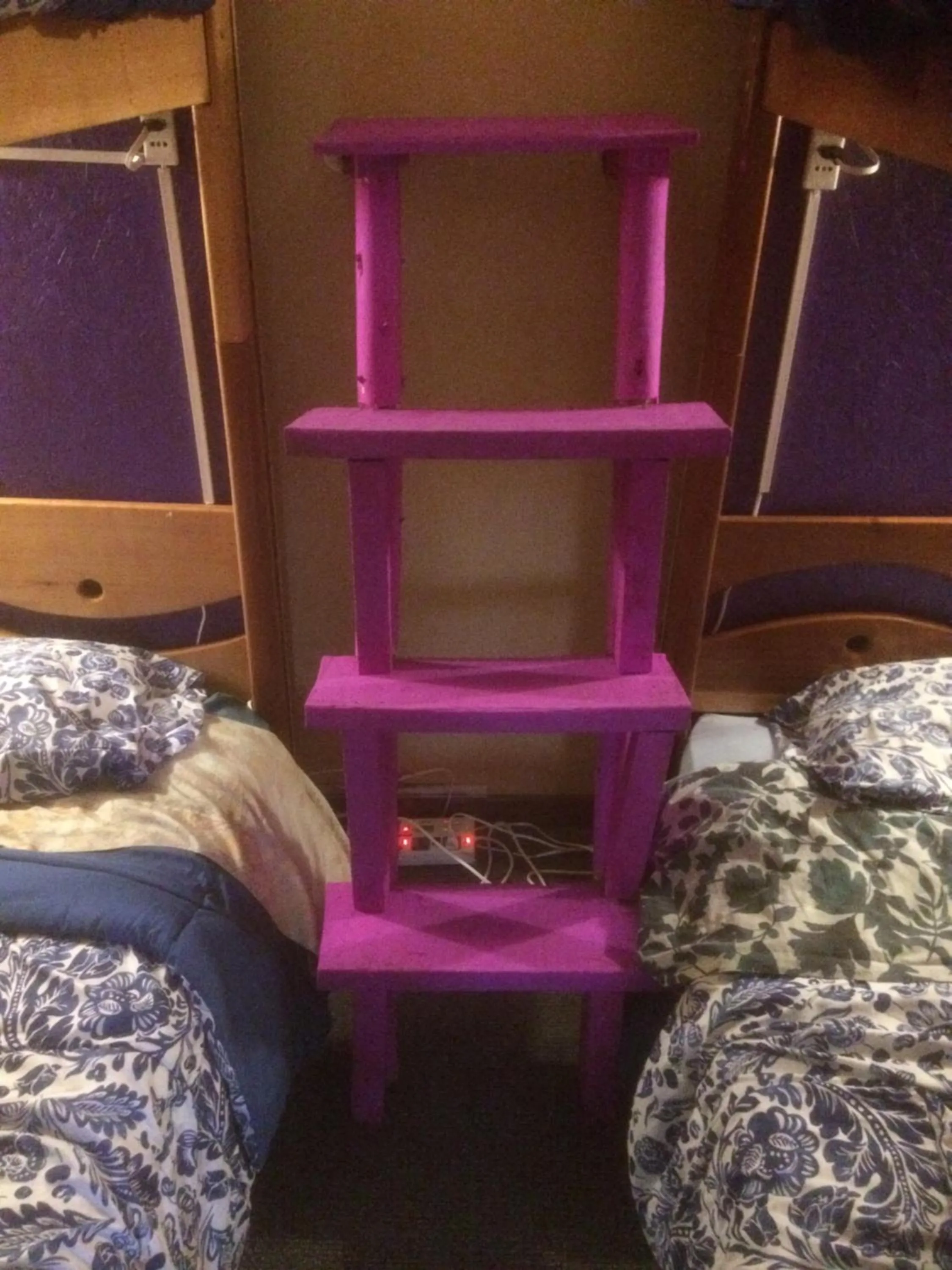 Photo of the whole room, Bed in Intihuatana Hostel