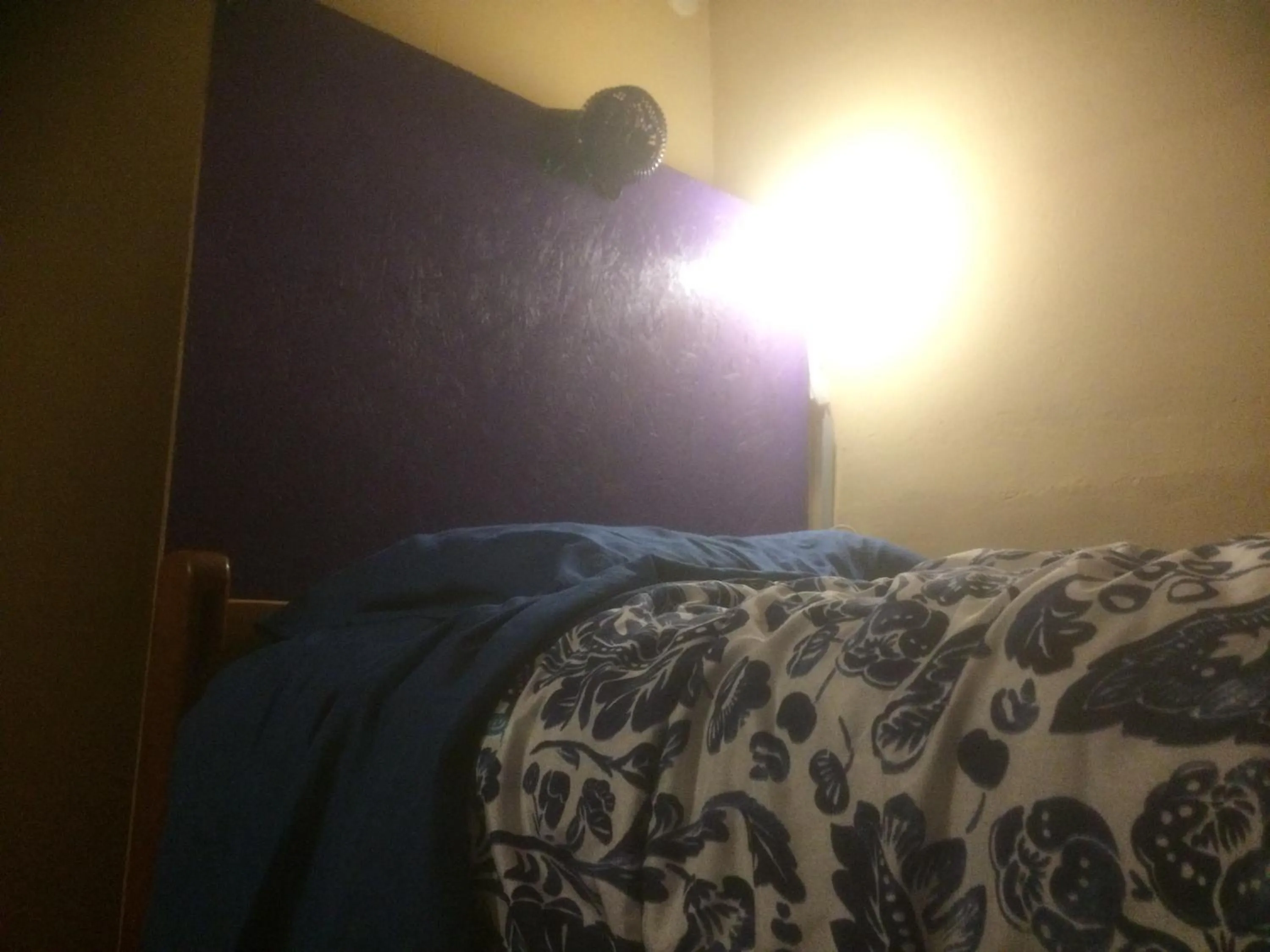 Bed in Intihuatana Hostel