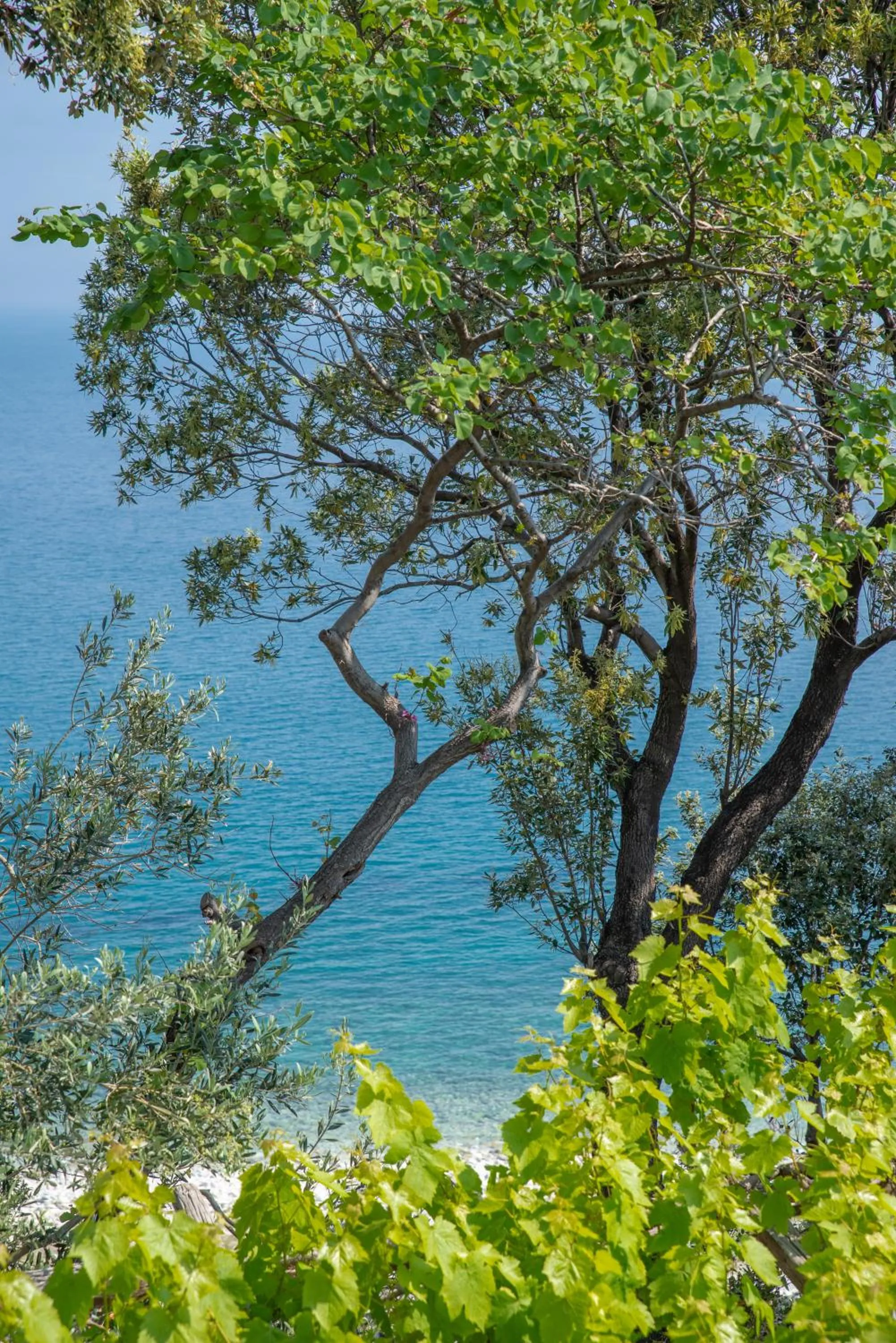 Sea view in Marabou Hotel Chorefto