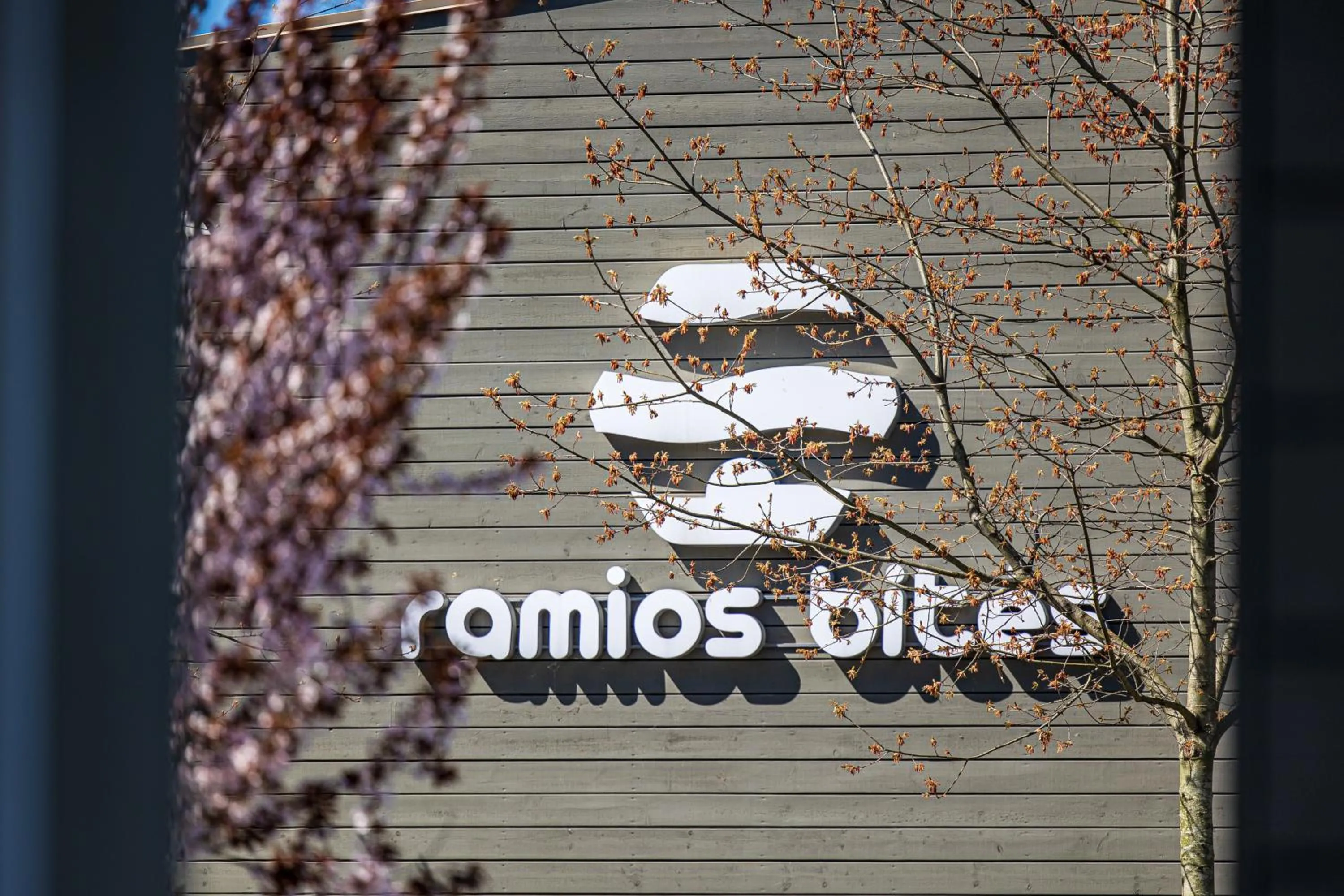 Ramios bitės