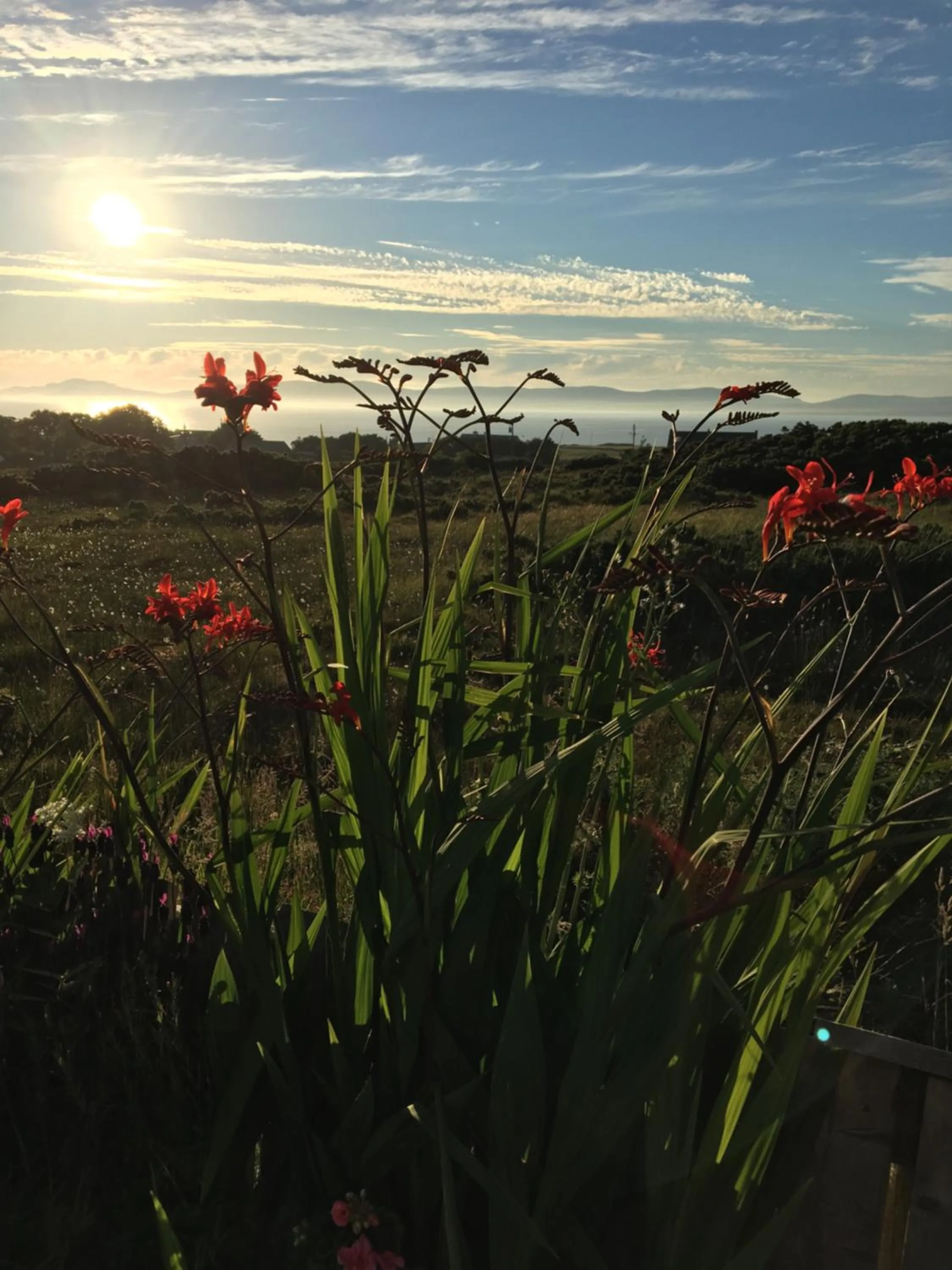 Natural landscape in Atlantic Breeze