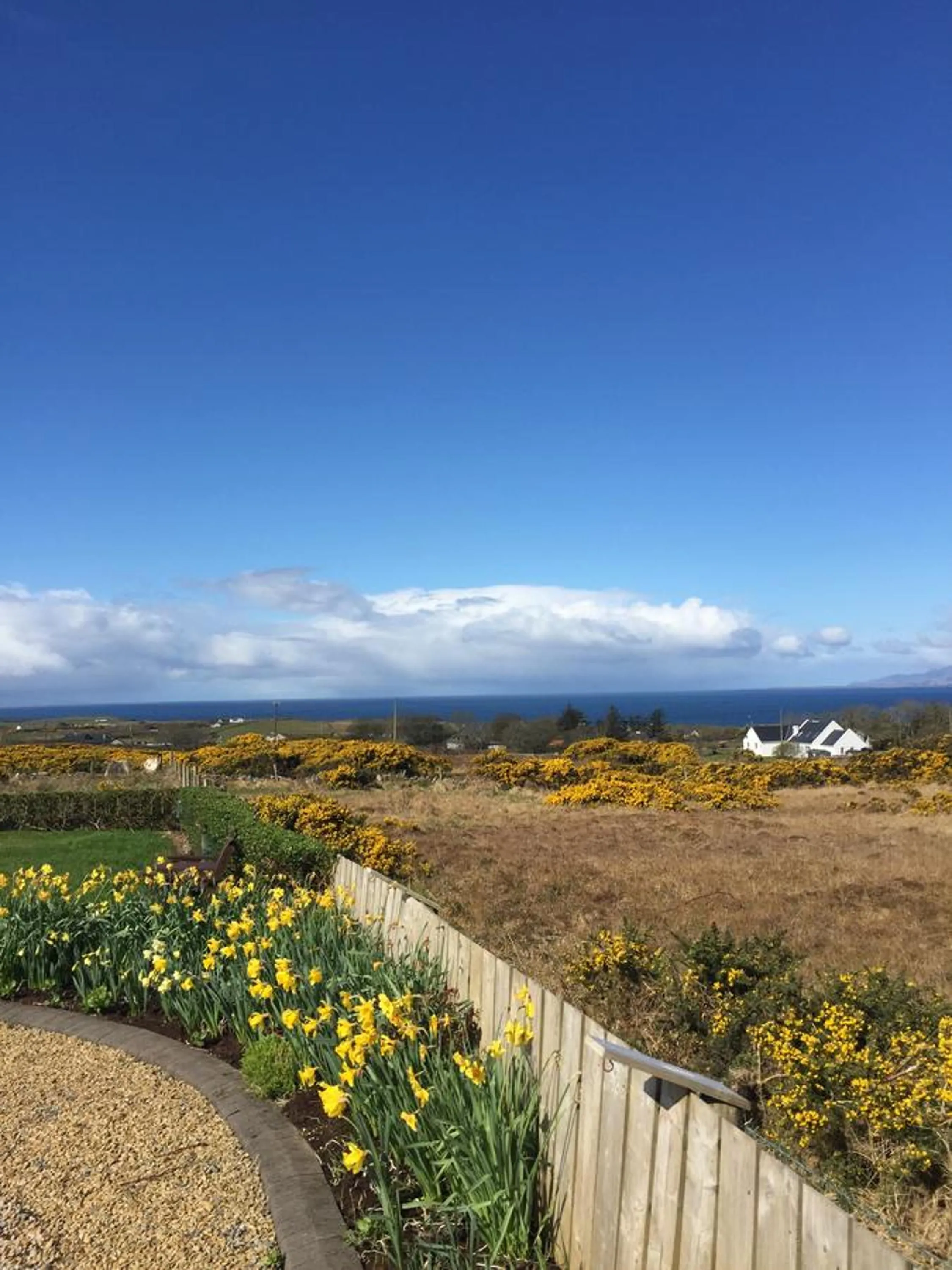 Garden in Atlantic Breeze