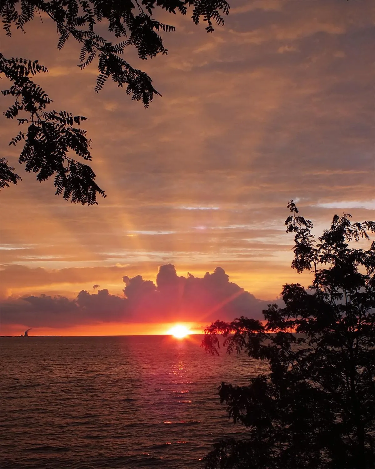 Put-in-Bay Island Club #113