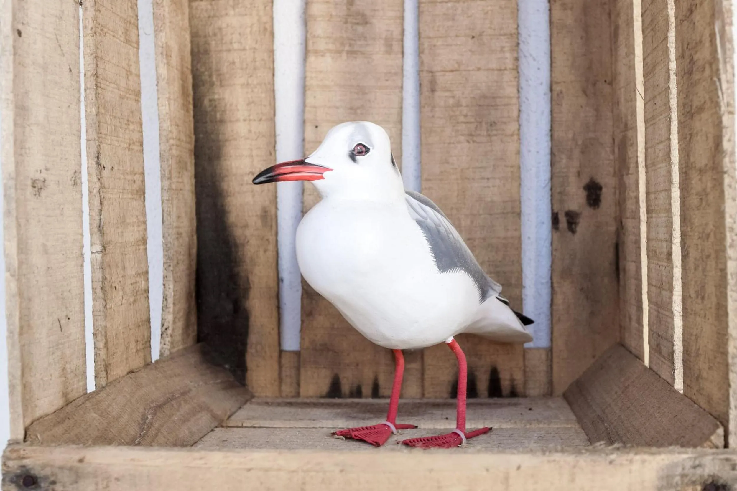 Decorative detail in Hôtel La Jetée