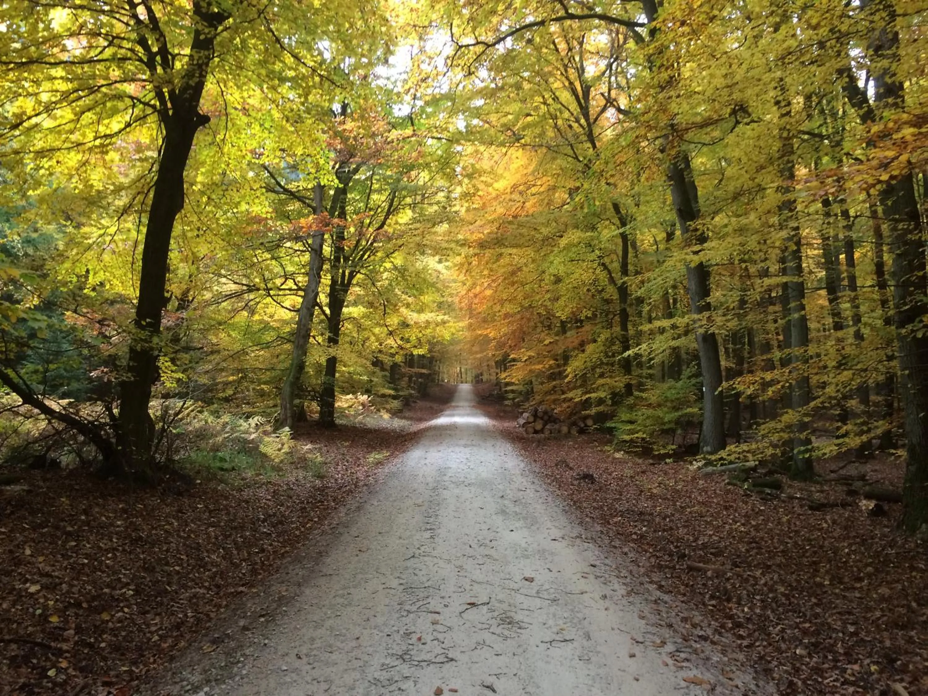Neighbourhood in TaunusTagungsHotel