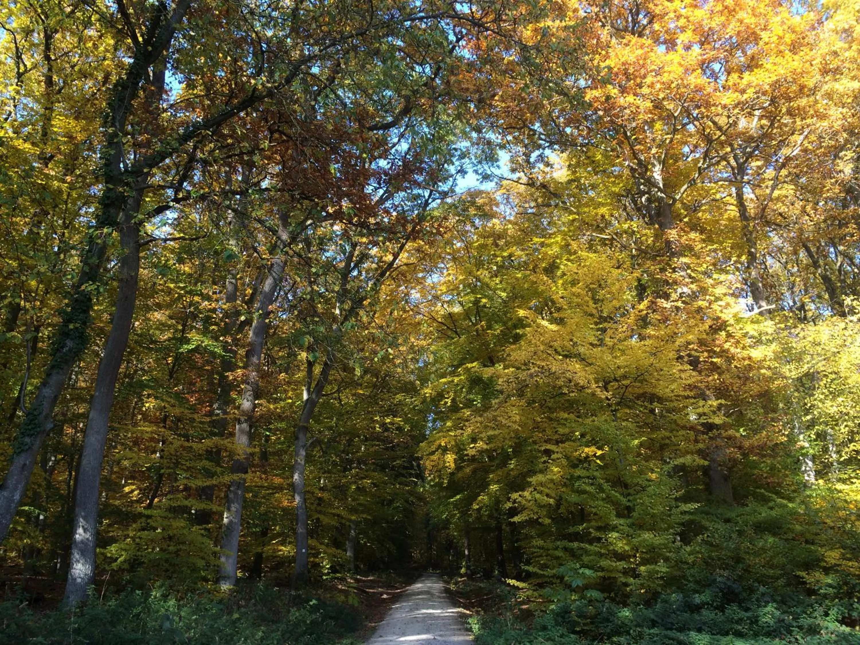 Neighbourhood in TaunusTagungsHotel