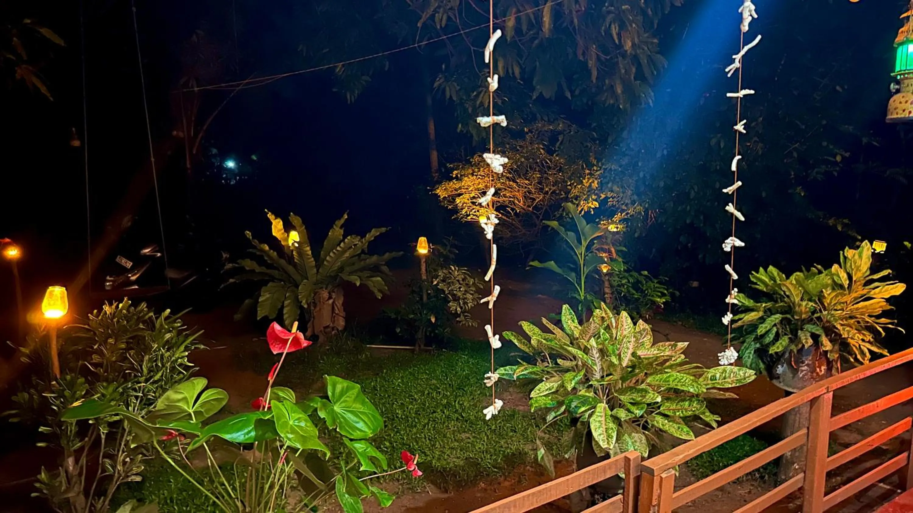 Garden view in Sigiri Lakshan Home Stay