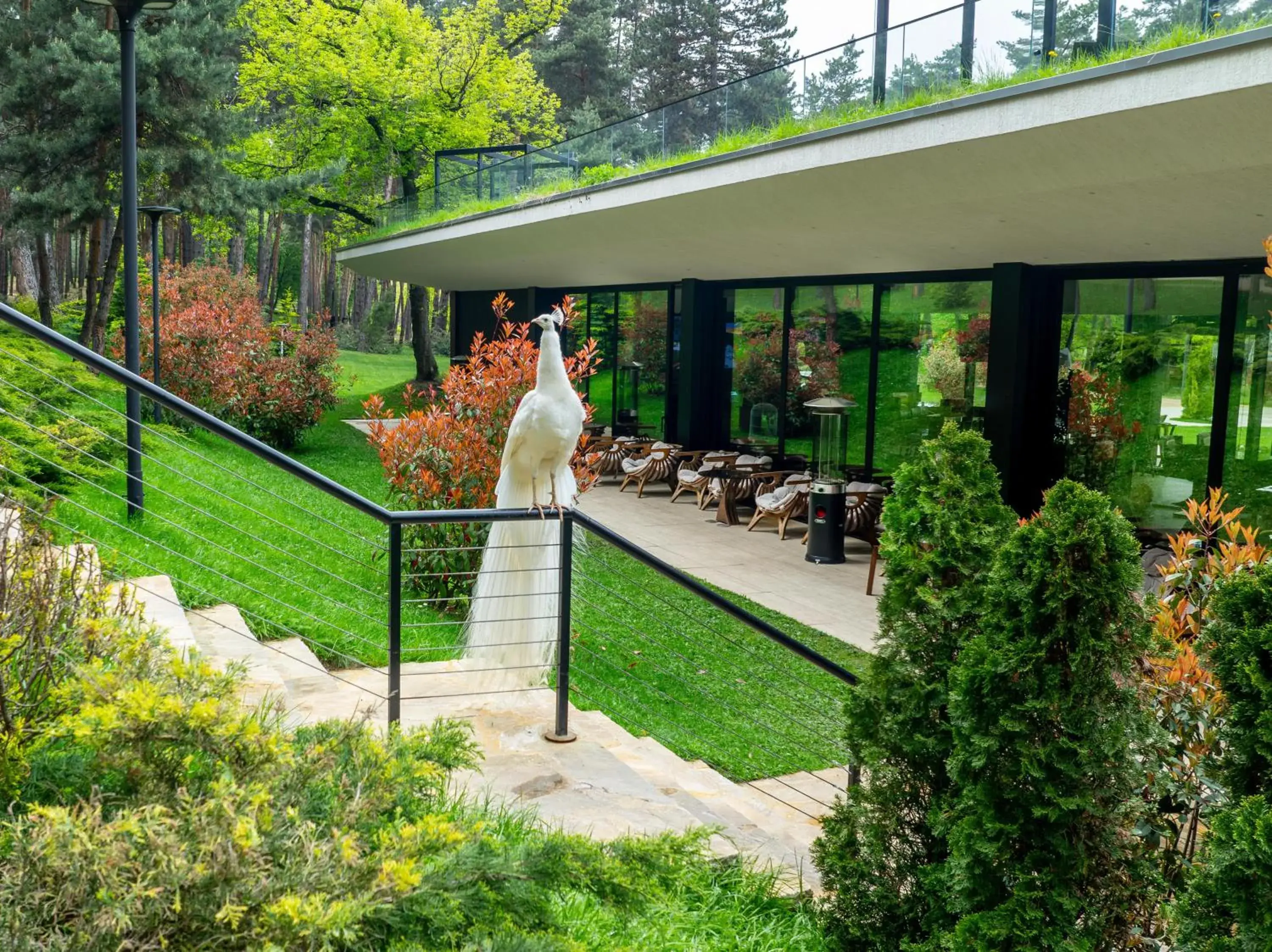 Restaurant/places to eat in Bioli Wellness Resort Restaurant/places to eat in Bioli Wellness Resort