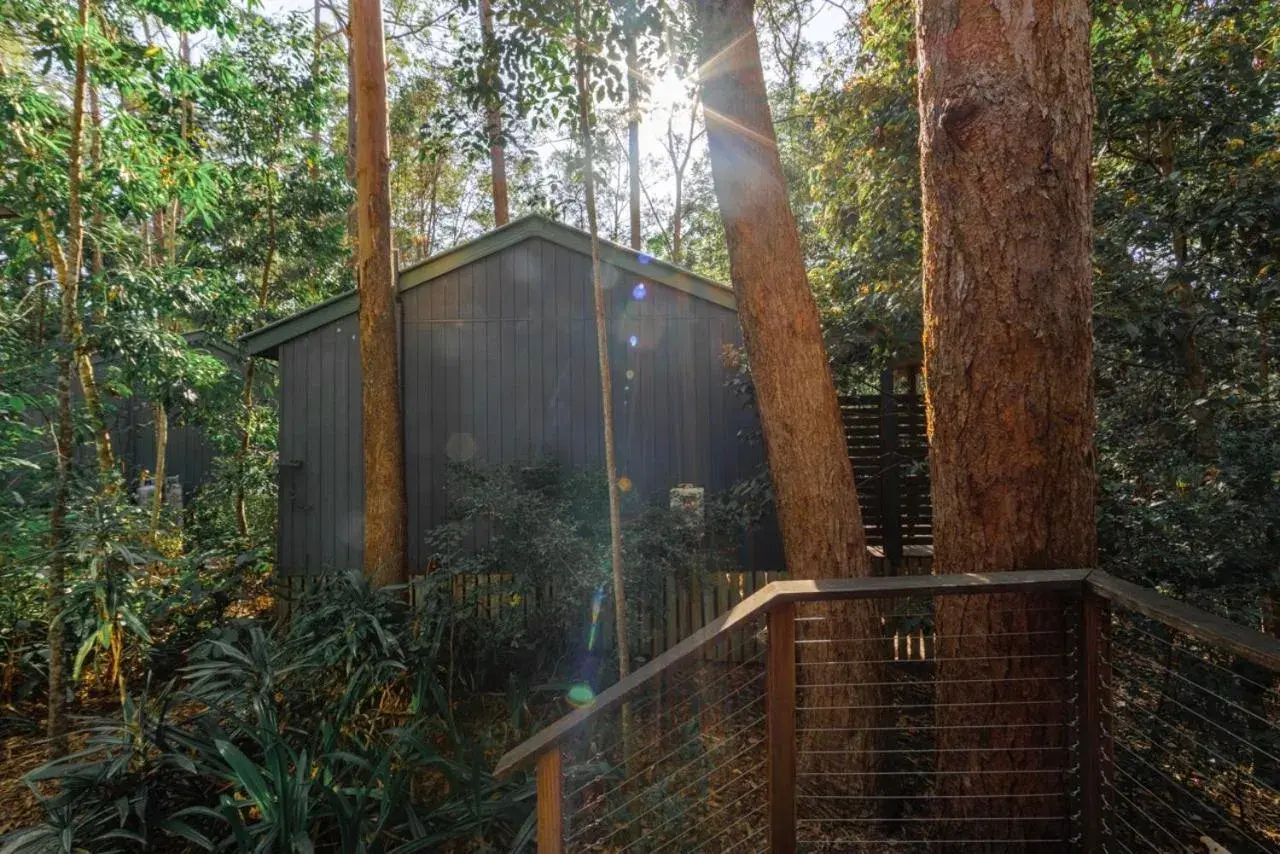 Amore On Buderim Rainforest Cabins Amore On Buderim Rainforest Cabins