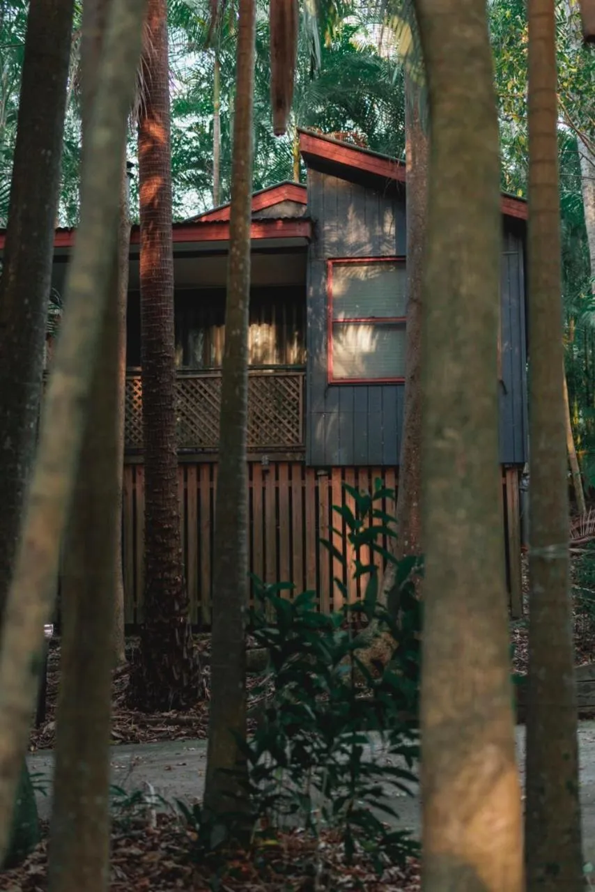 Amore On Buderim Rainforest Cabins