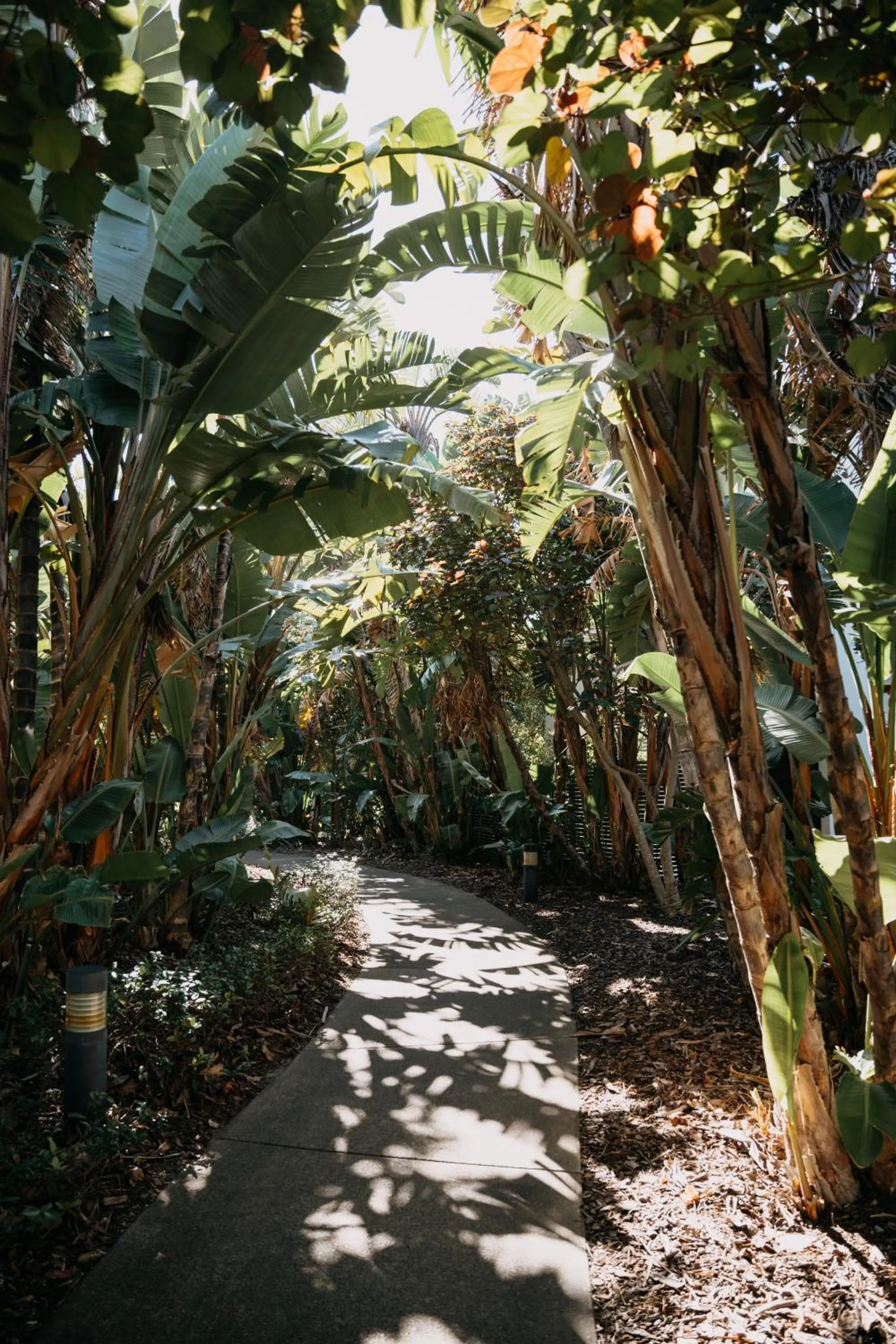 Garden in Pullman Magenta Shores Resort