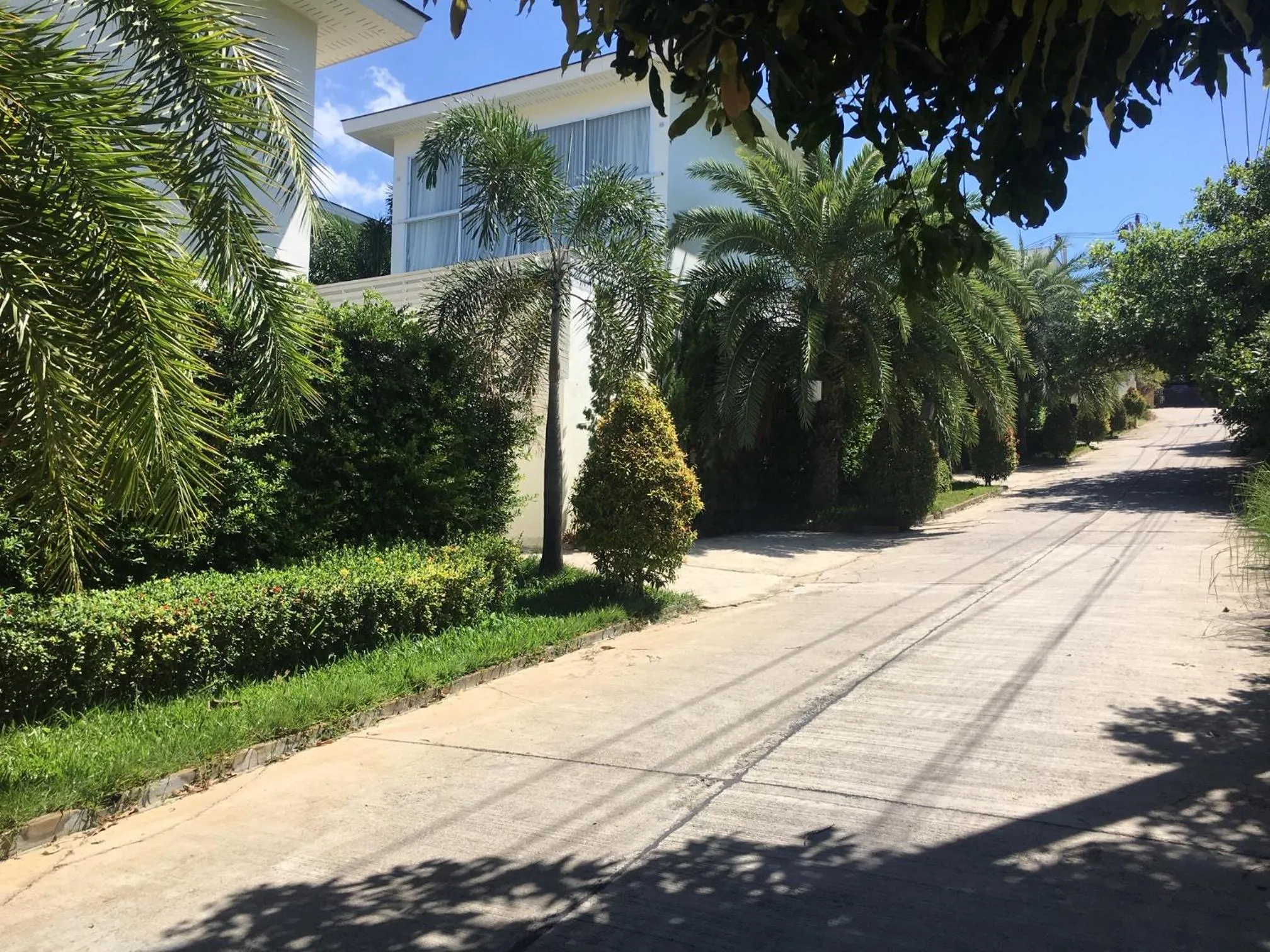 Garden in Samui Blue Orchid - Adult Only