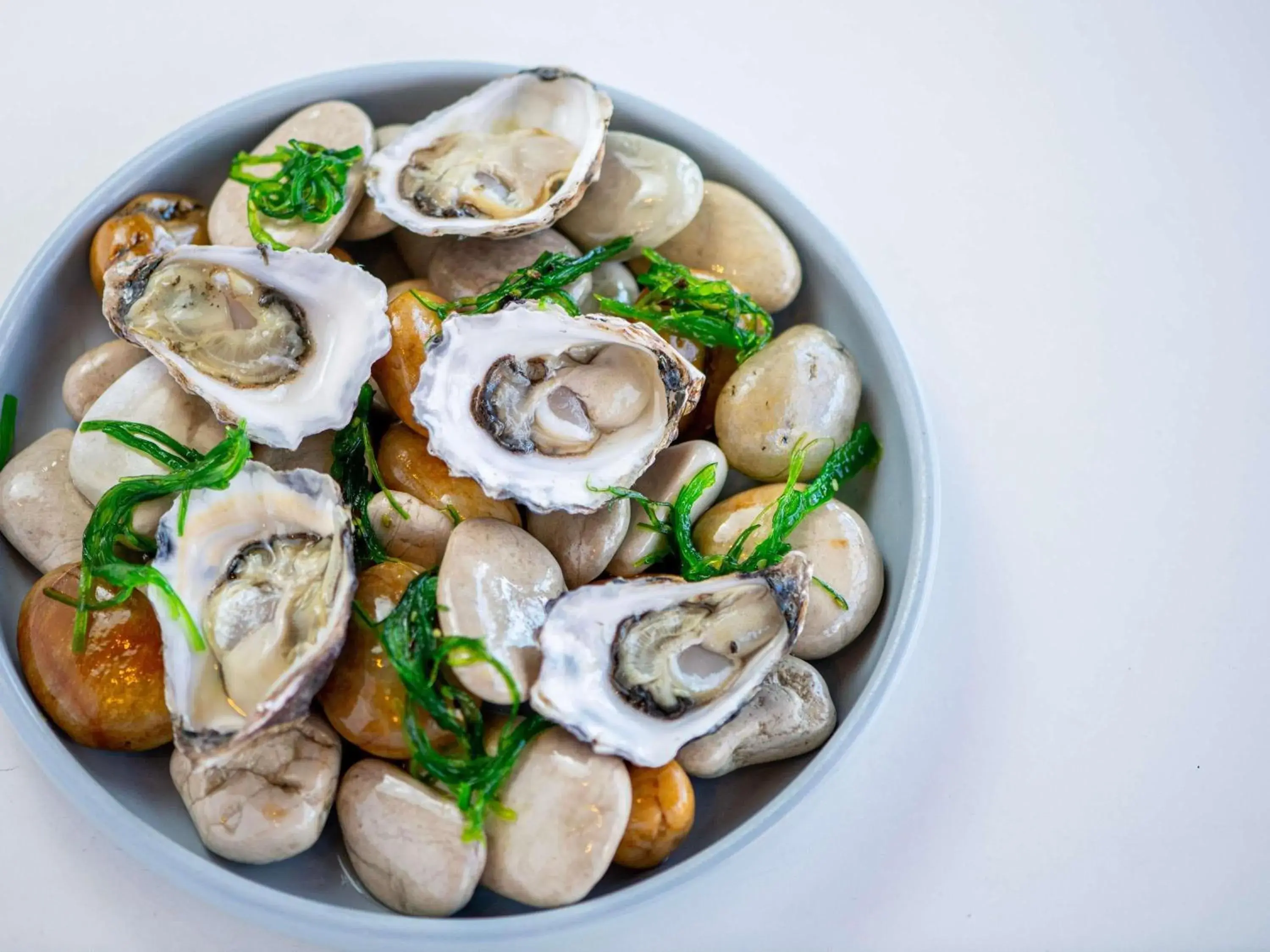 Restaurant/places to eat in The Sebel Kiama Restaurant/places to eat in The Sebel Kiama