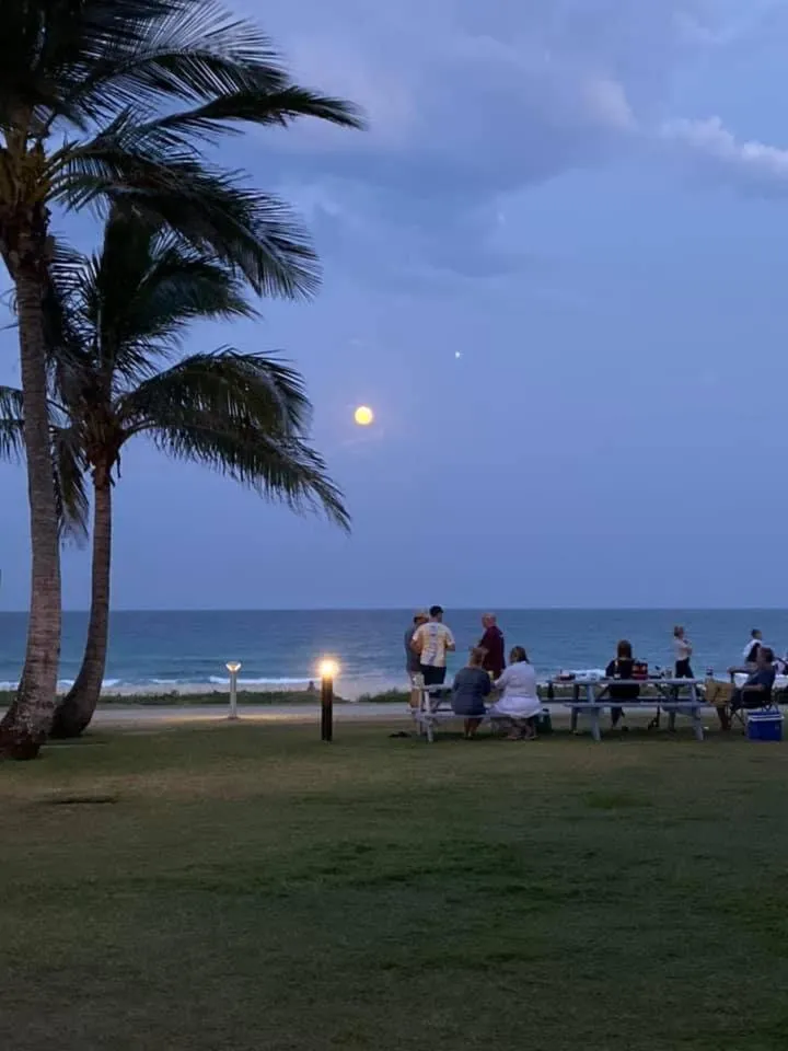 San Simeon Beachfront Apartments Tugun