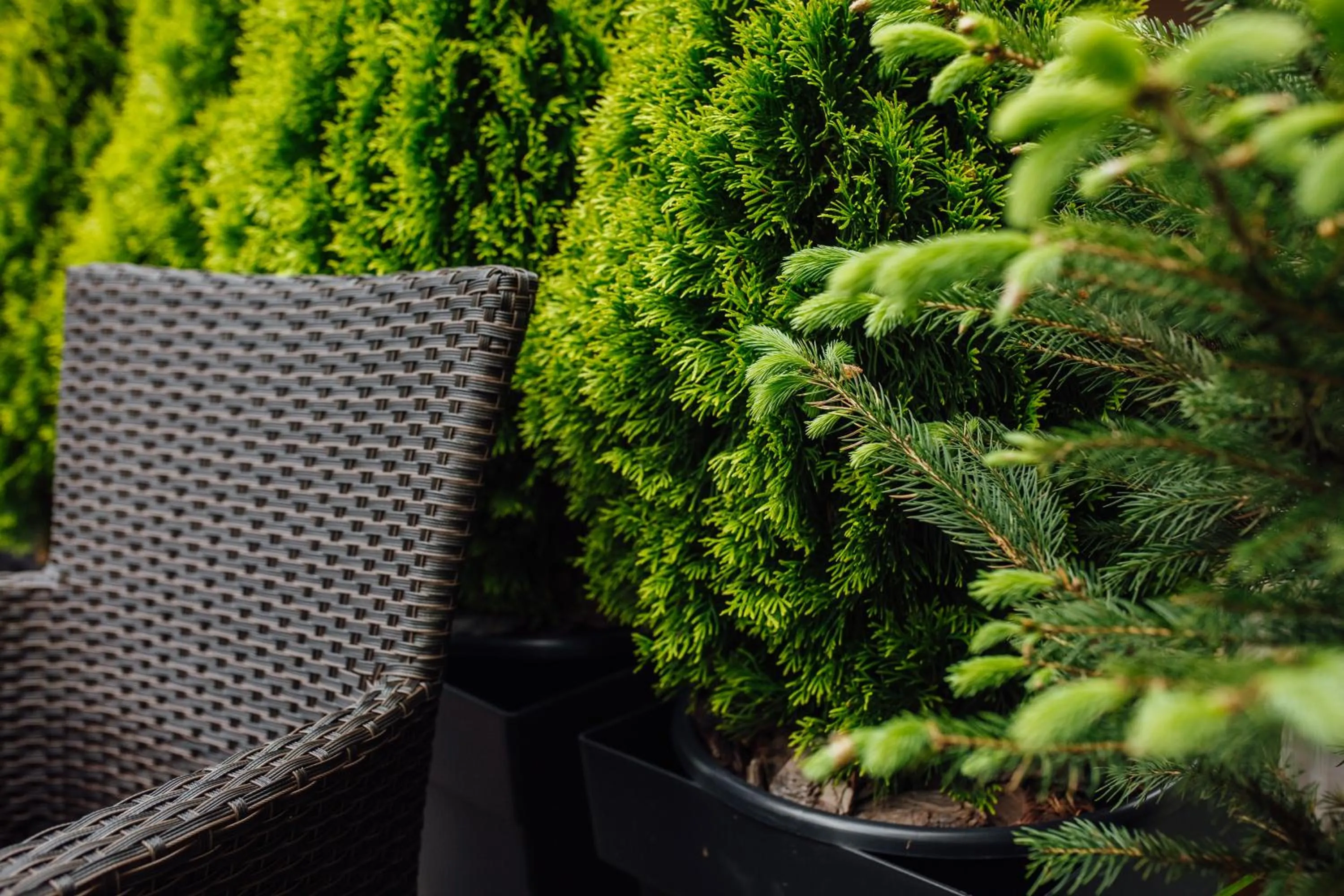 Balcony/Terrace in Apart-hotel Horowitz