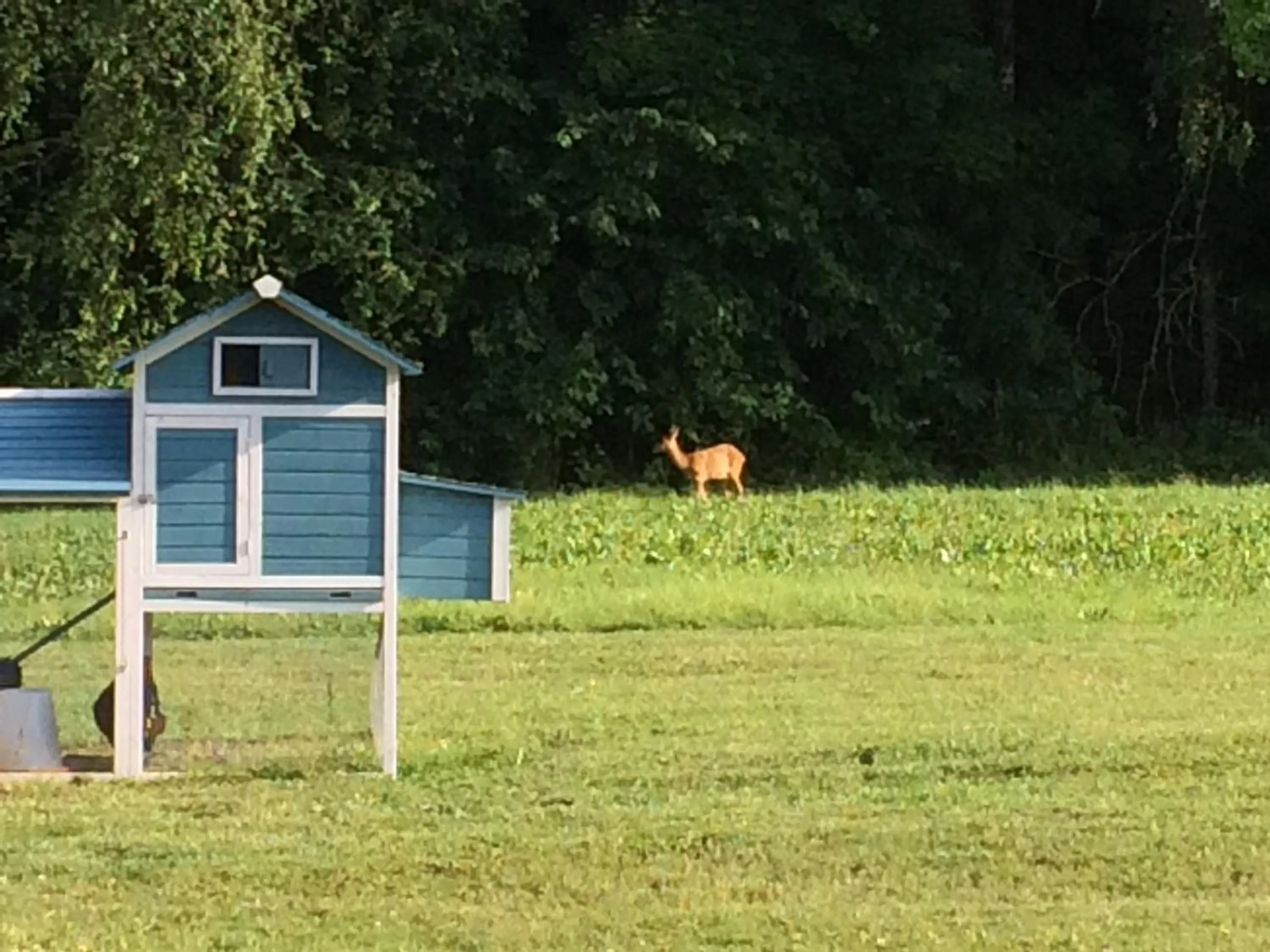Property building in Hotel - Restaurant La Claire Forêt