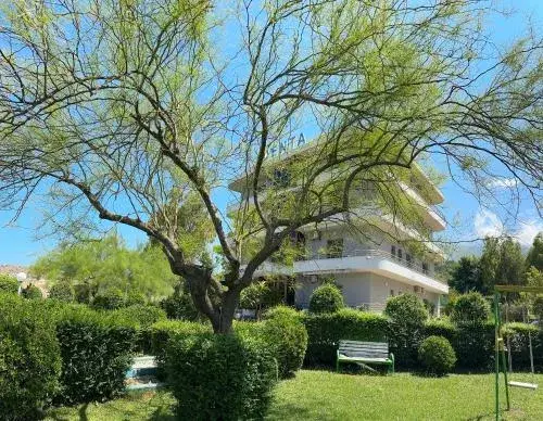 Hotel Denta Hotel Denta