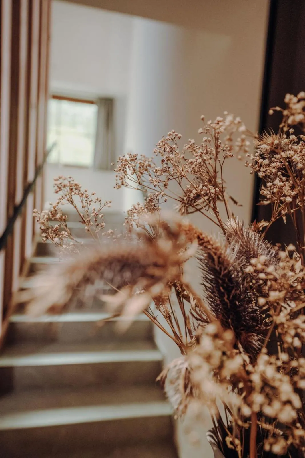 Other in Frühstückspension Friedheim