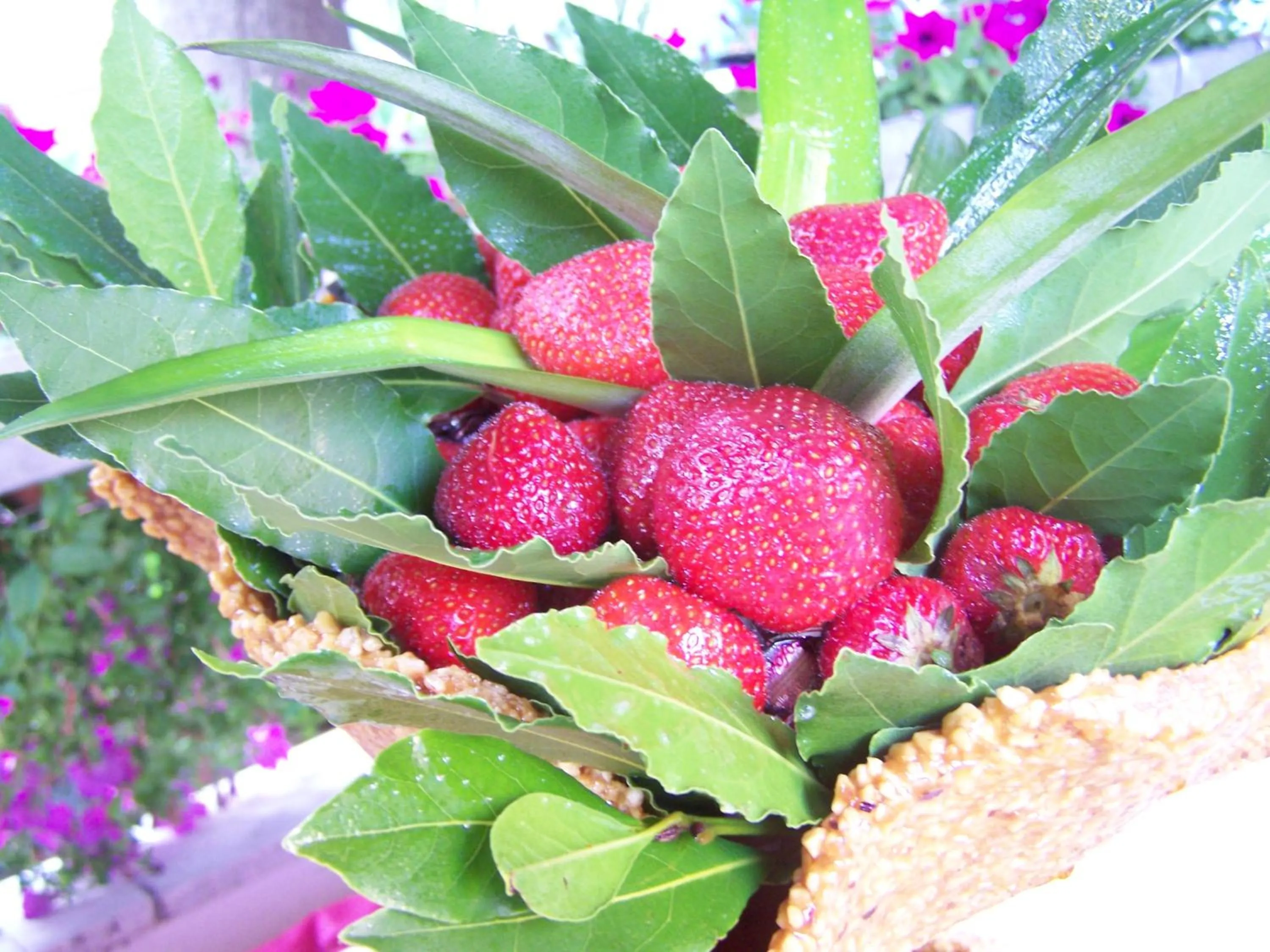 Dining area in Hotel 2000