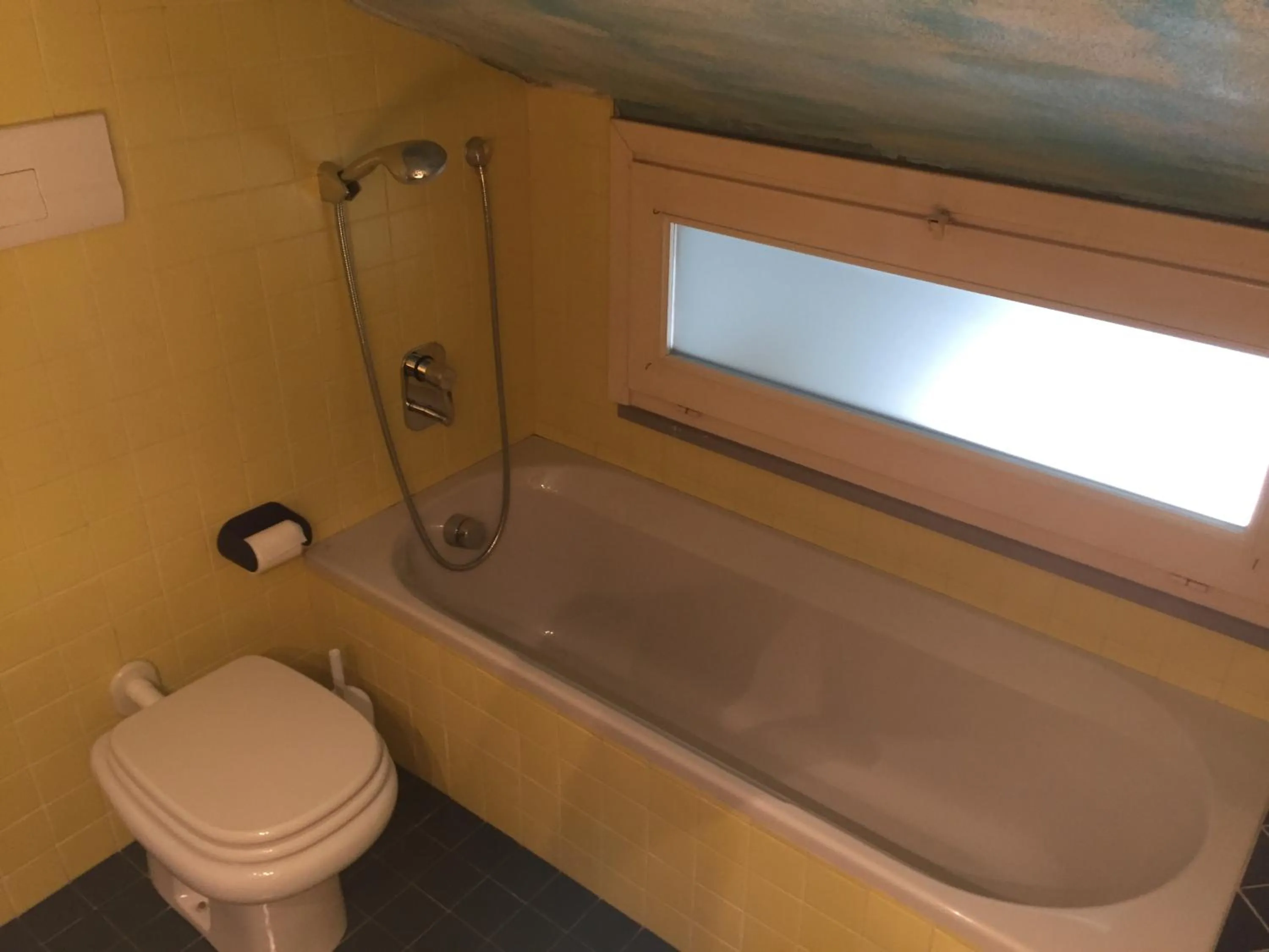 Toilet in B&B Treviglio