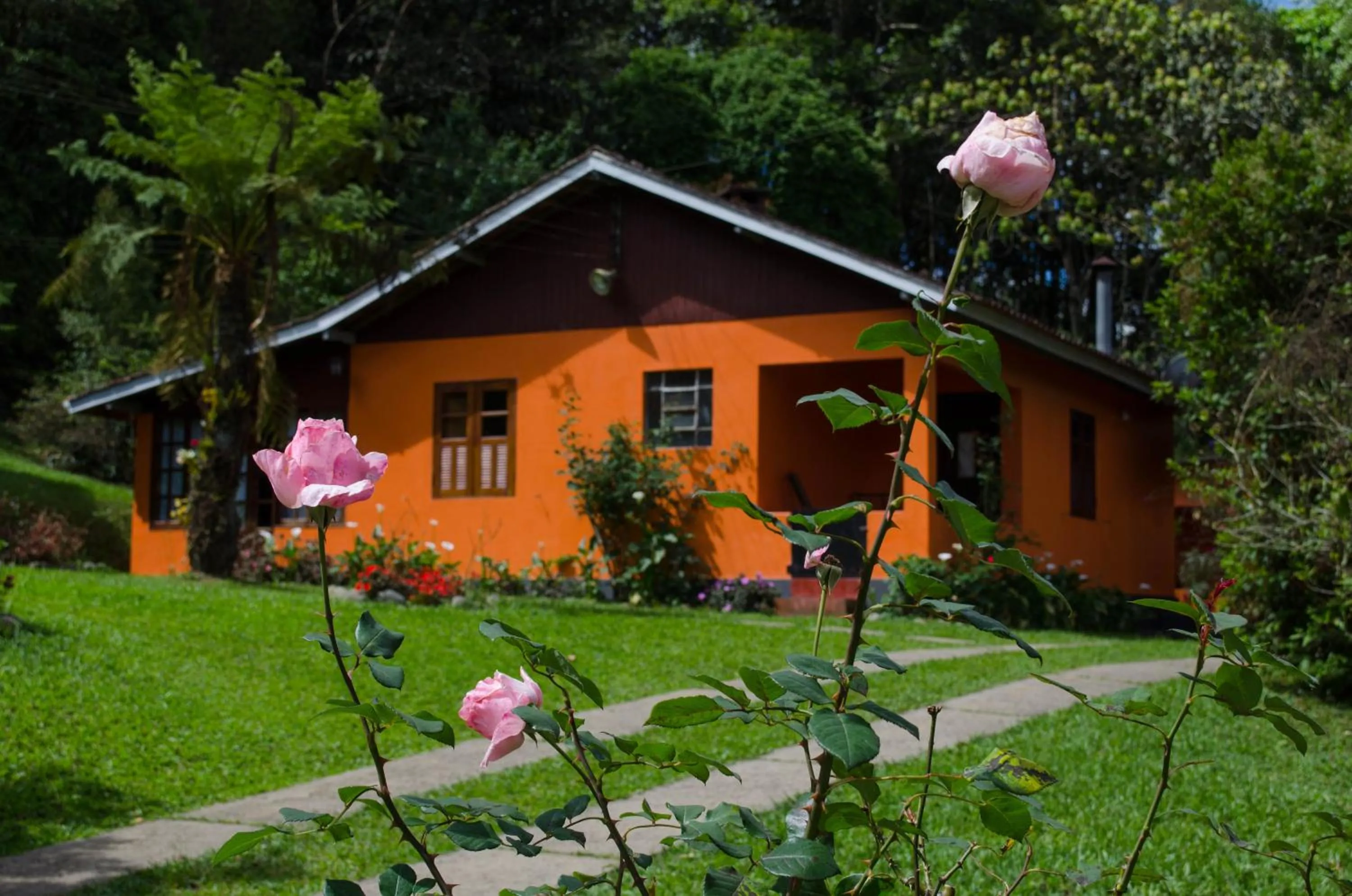 Garden in Pousada Pedra da Gávea