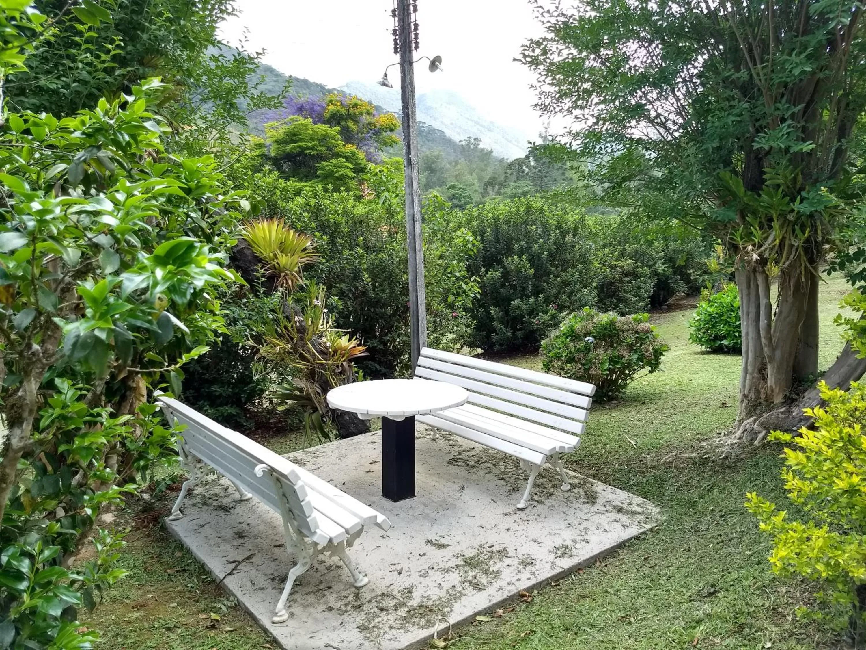 Garden in Pousada Pedra da Gávea