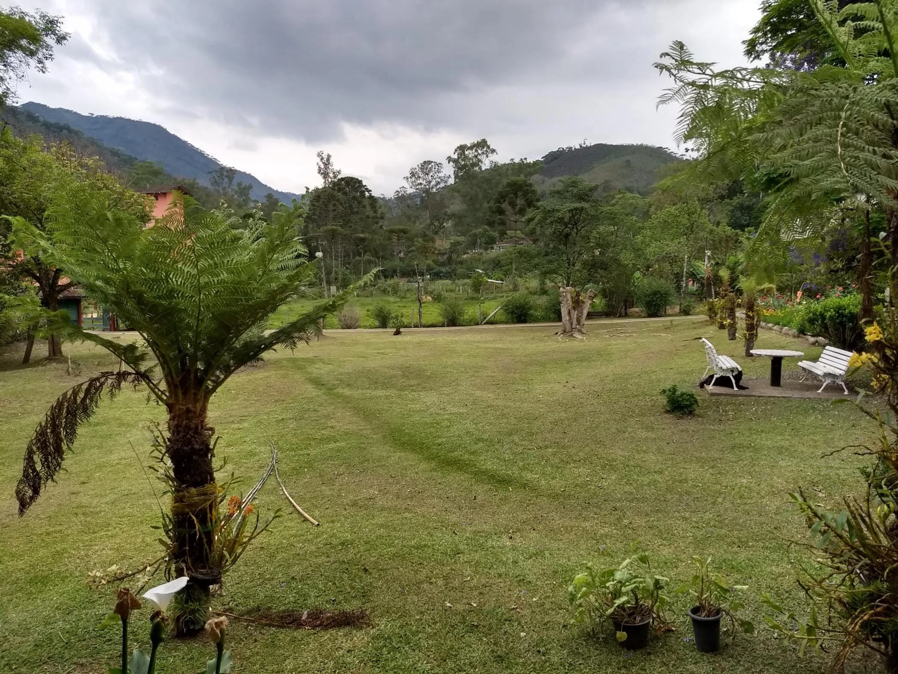 Garden view in Pousada Pedra da Gávea