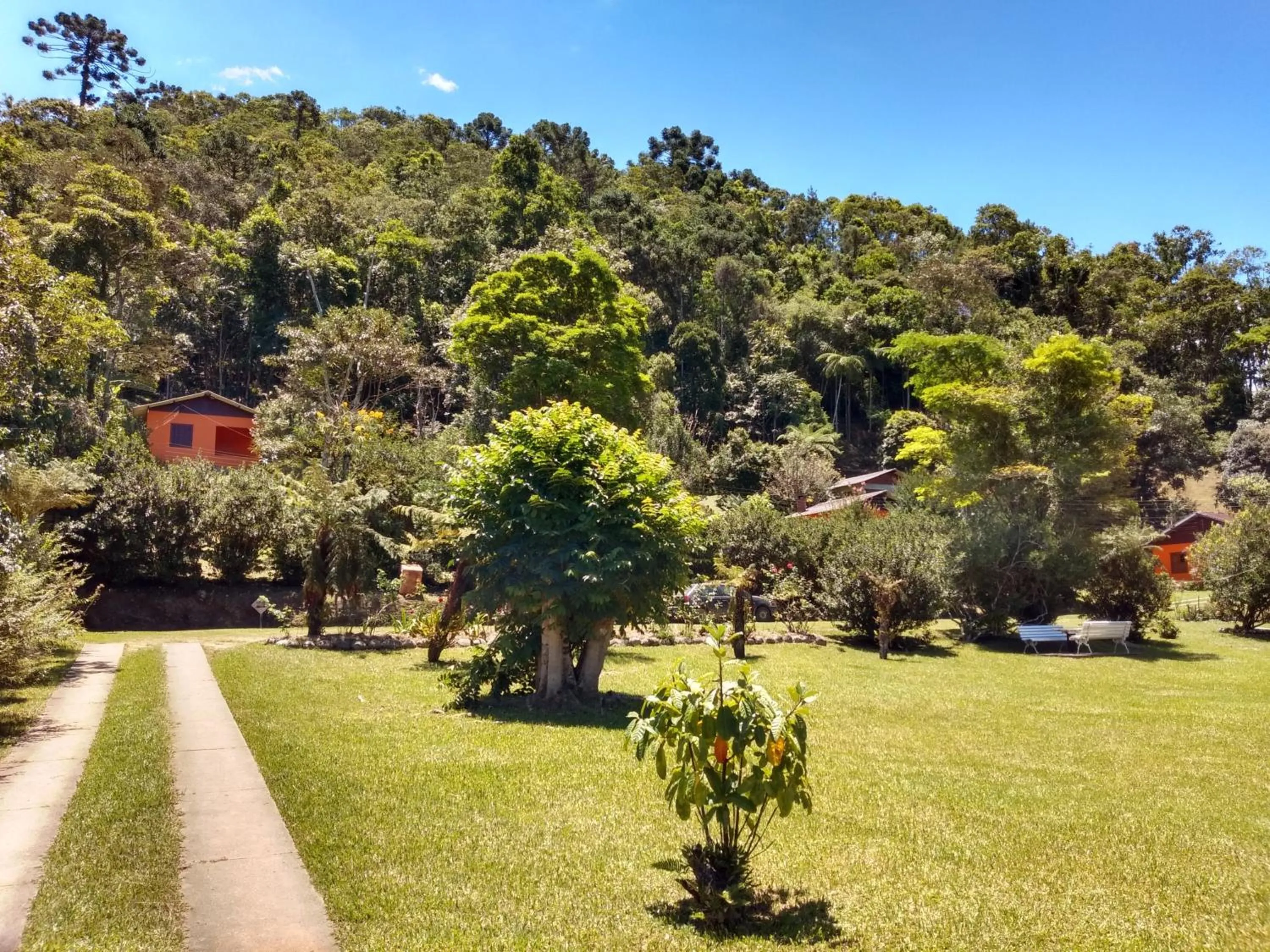 Garden in Pousada Pedra da Gávea