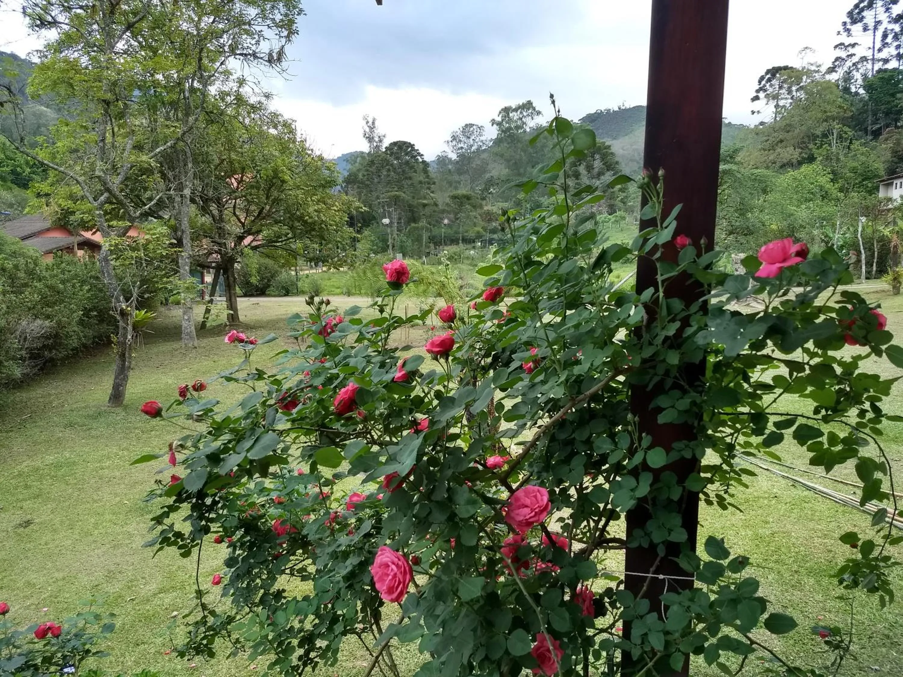 Garden view in Pousada Pedra da Gávea