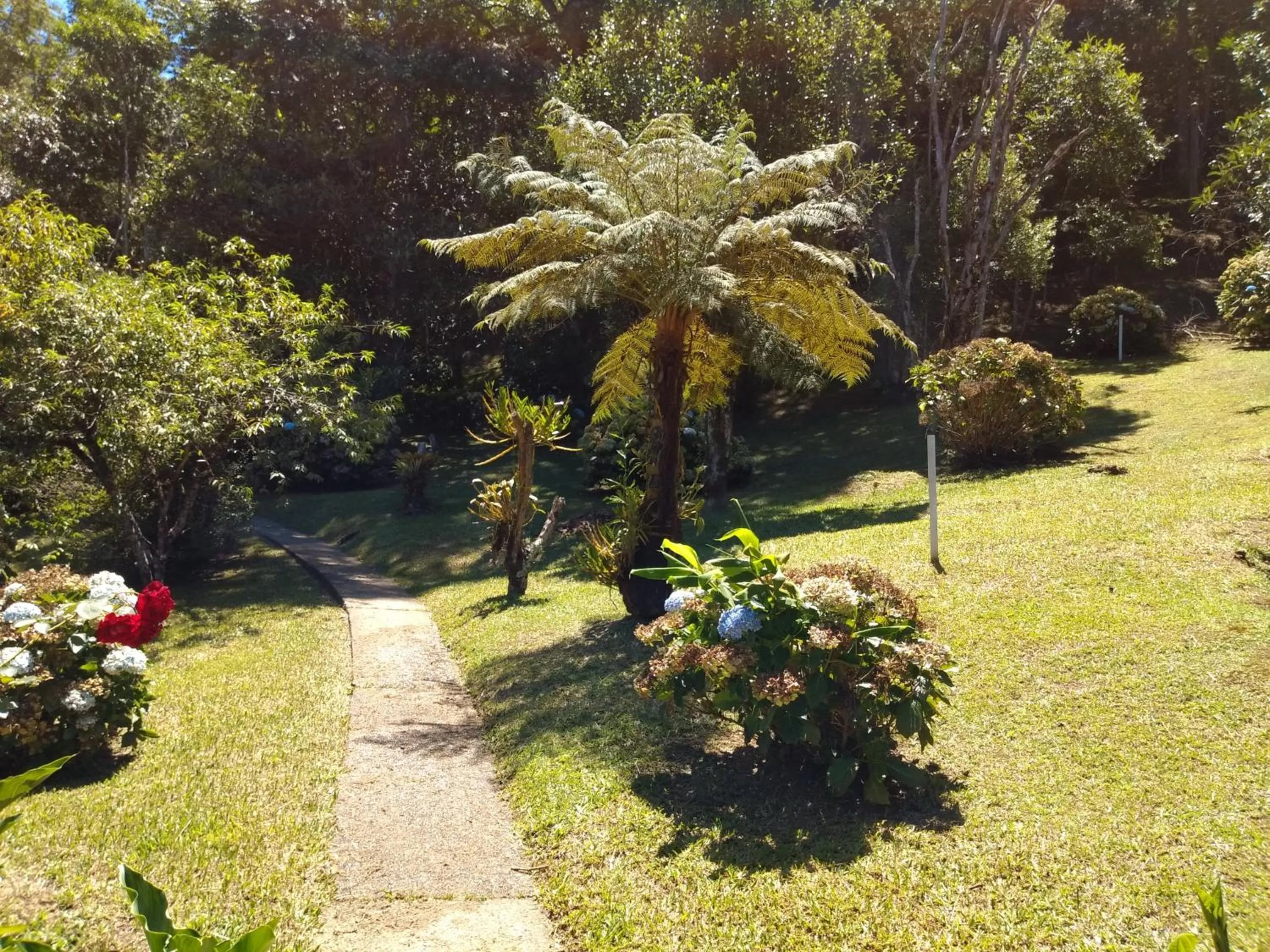Pousada Pedra da Gávea