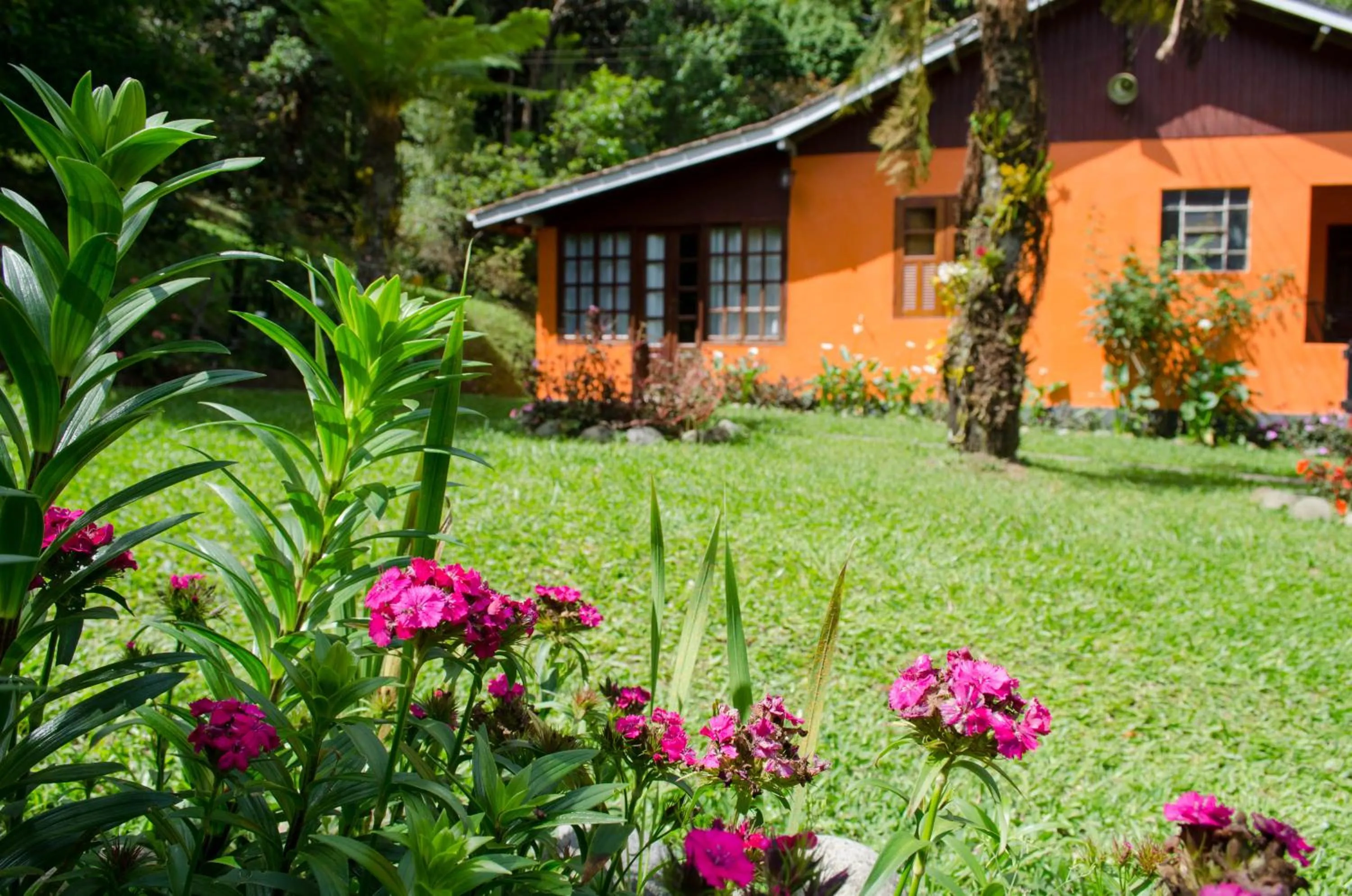 Garden in Pousada Pedra da Gávea