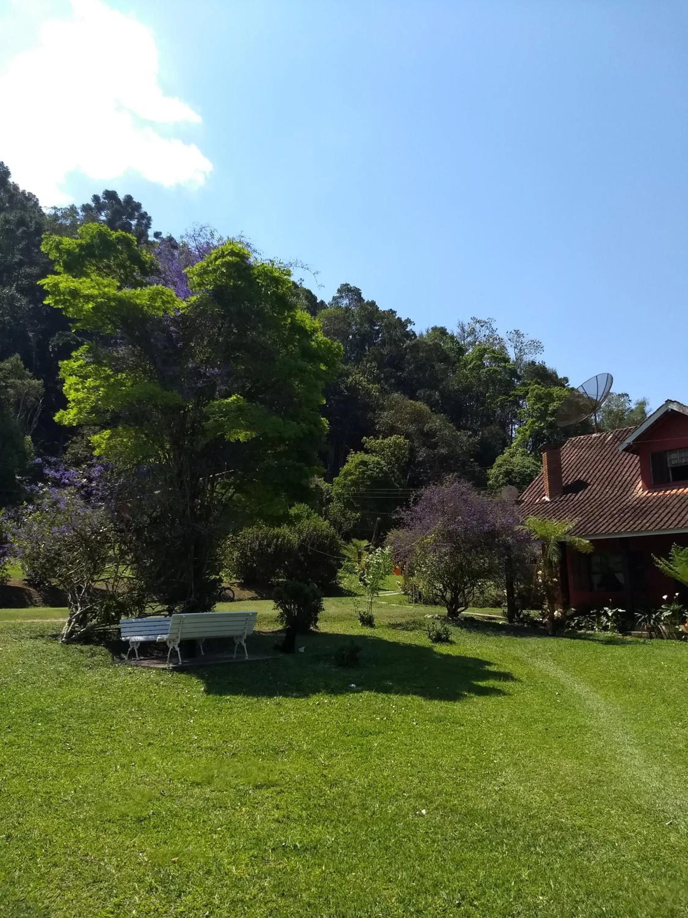 Garden in Pousada Pedra da Gávea