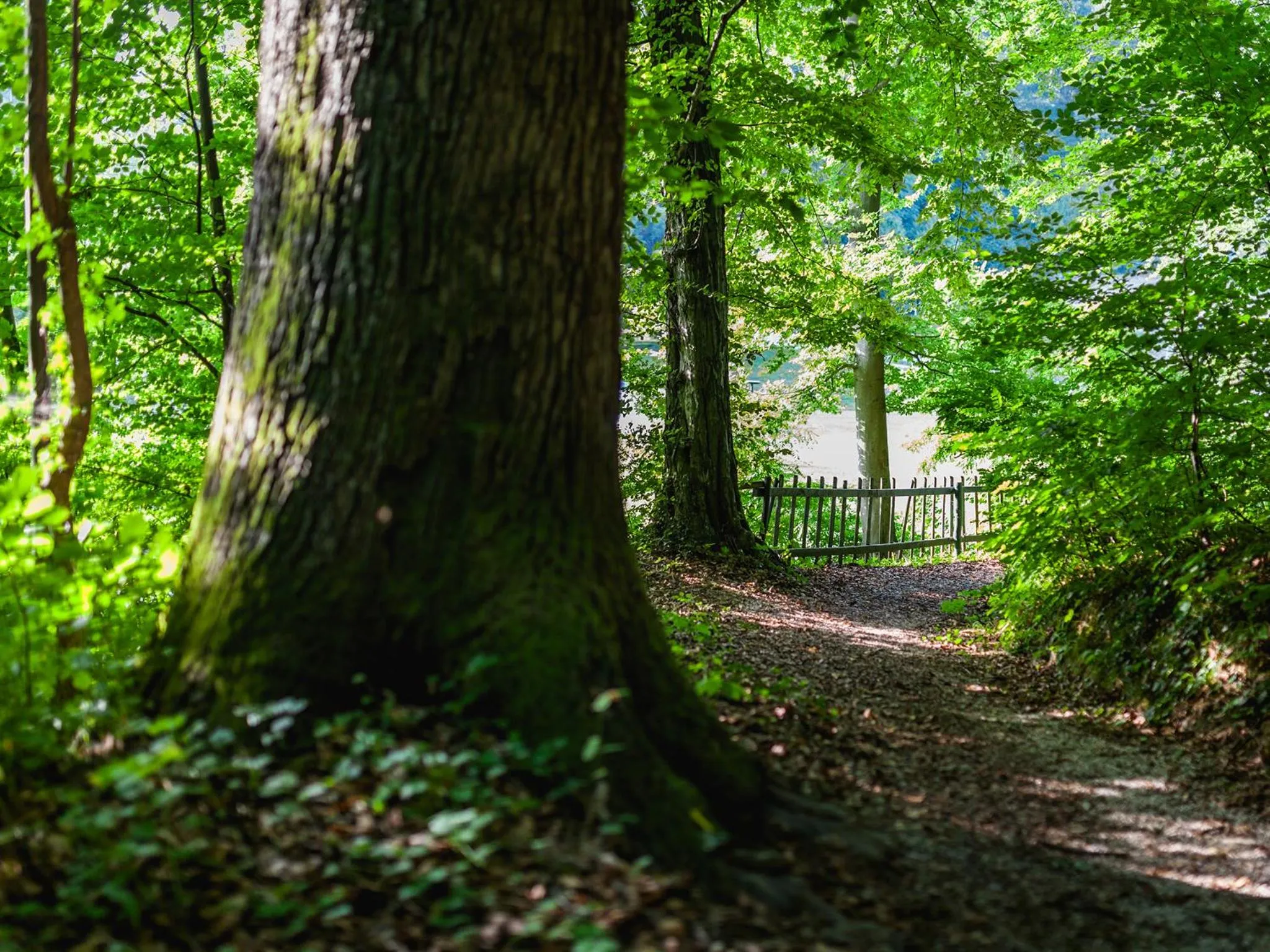 Neighbourhood in Atlantida Boutique Hotel