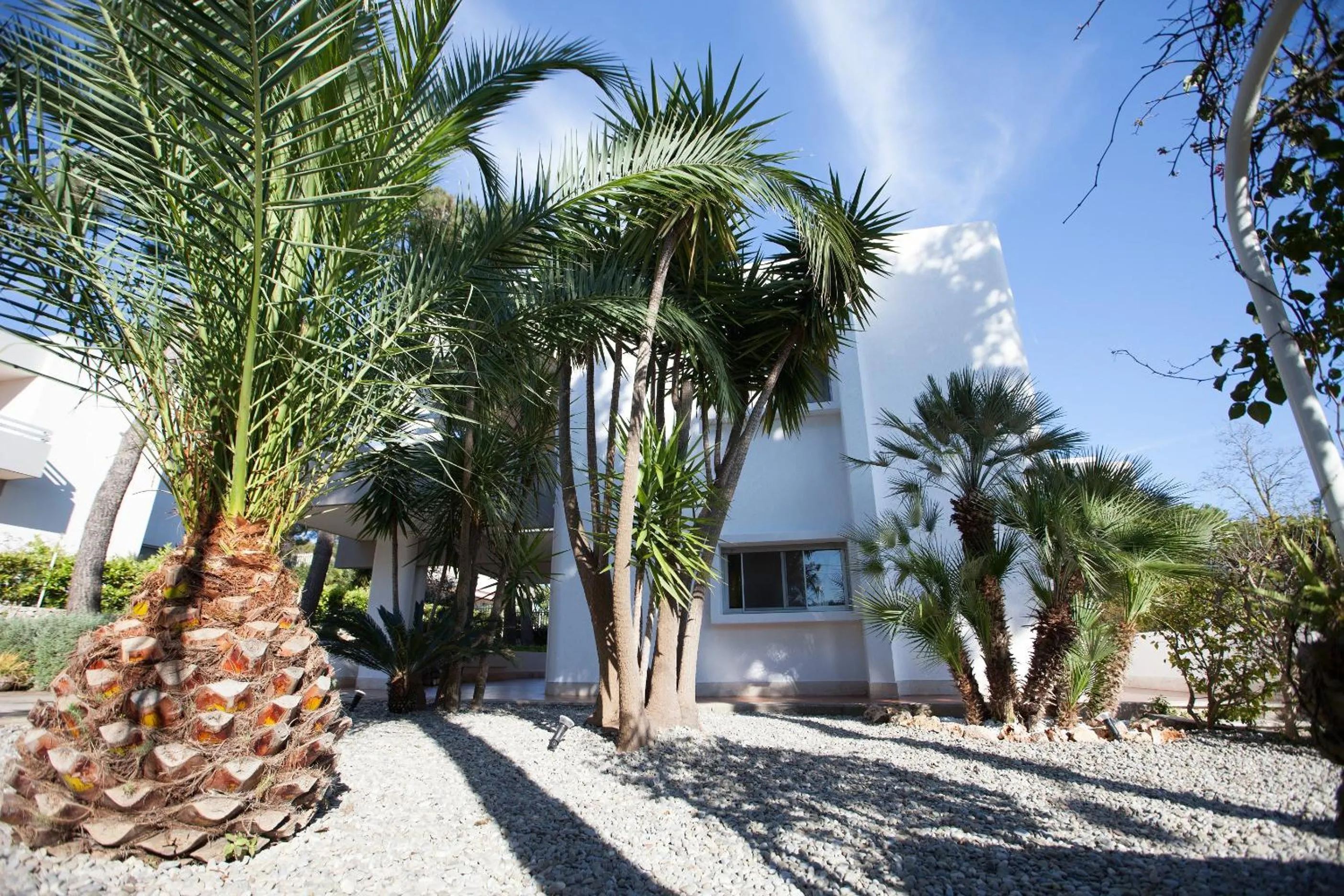 Phalanthos B&B