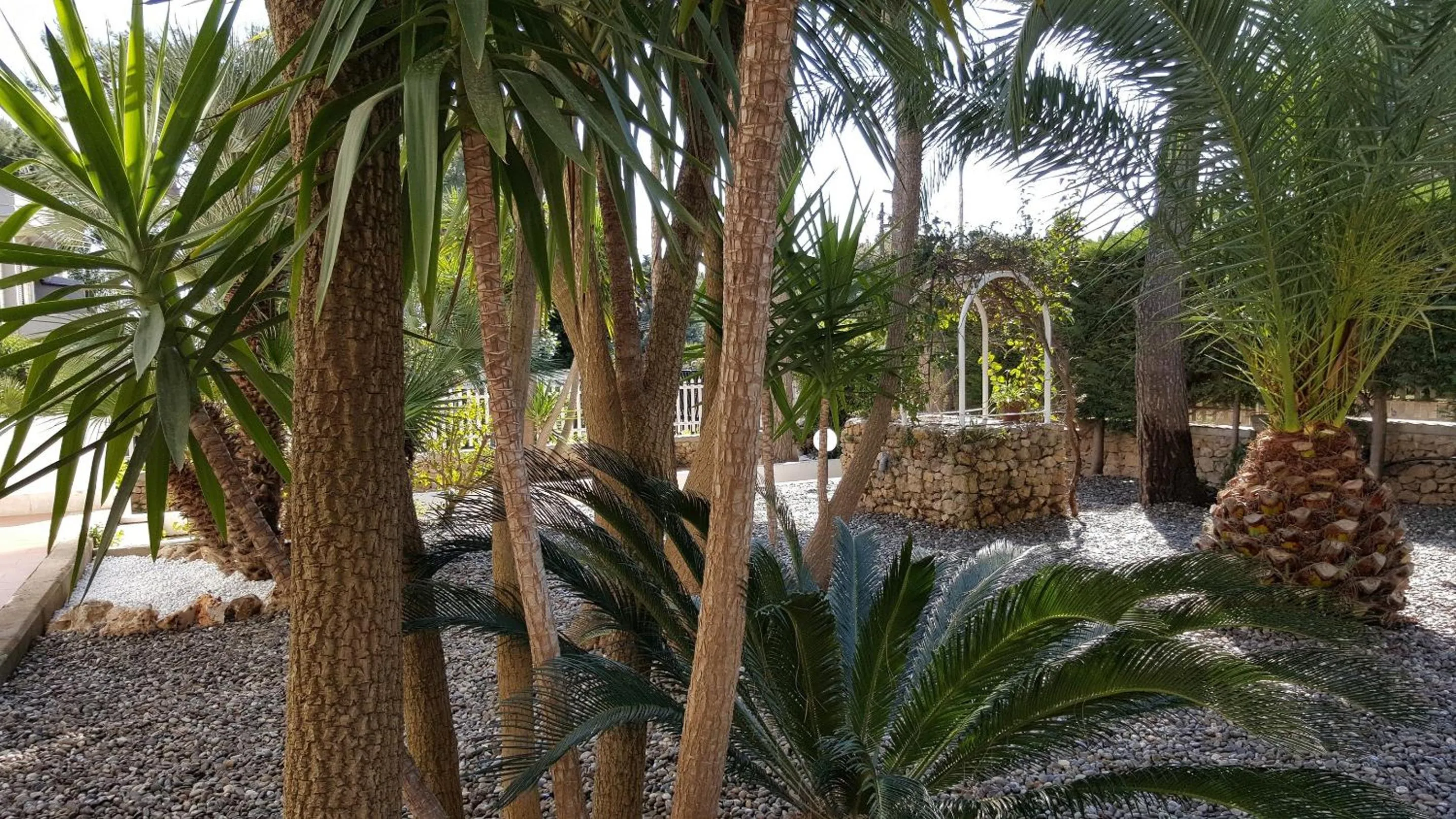 Garden in Phalanthos B&B