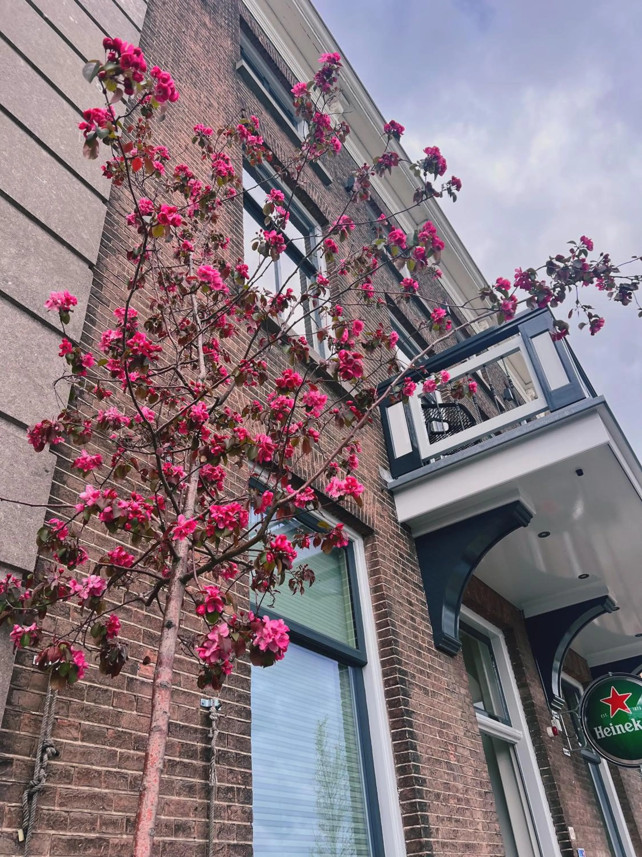 Property building in Hotel Loskade 45