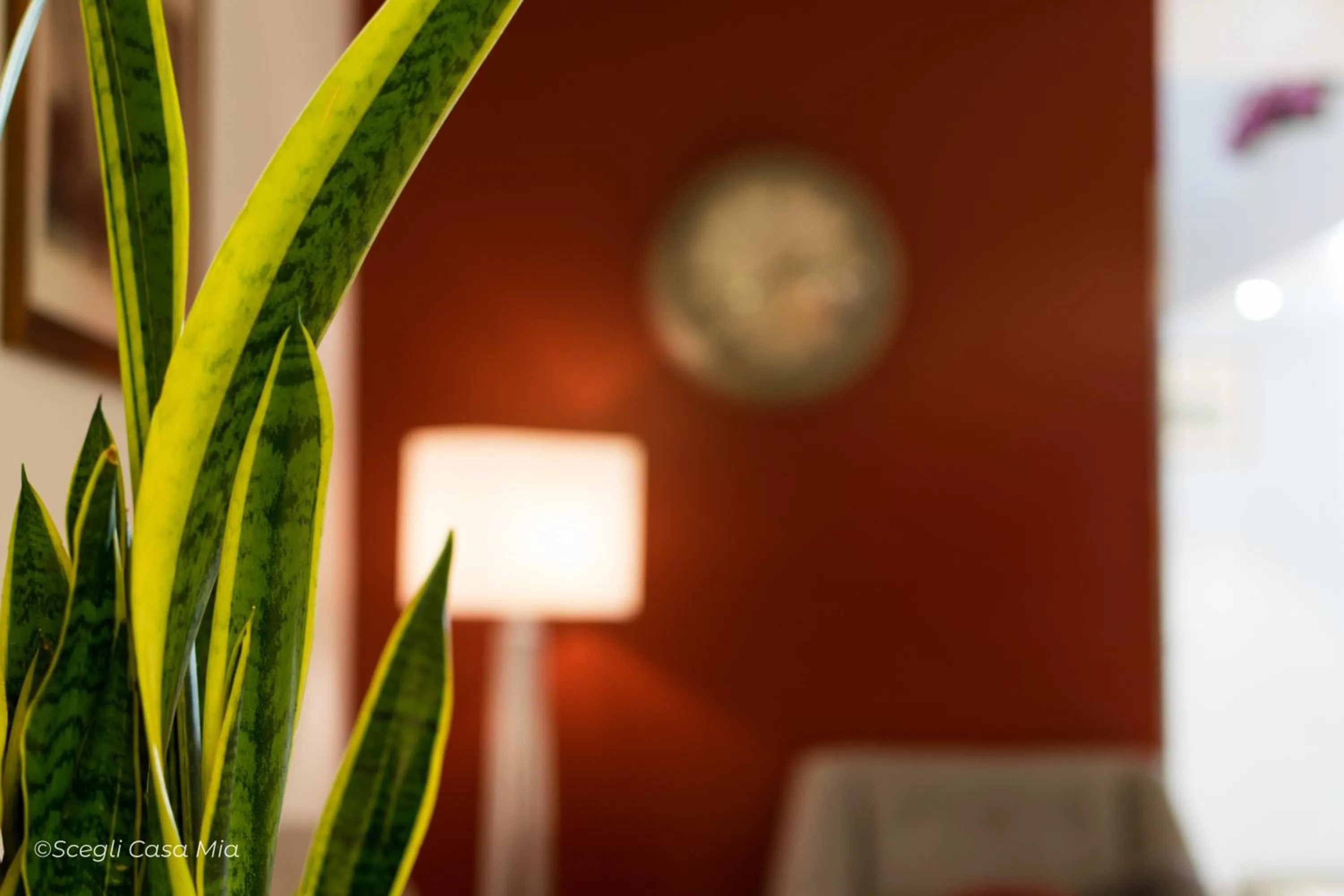 Lobby or reception in Ottocento Guest House