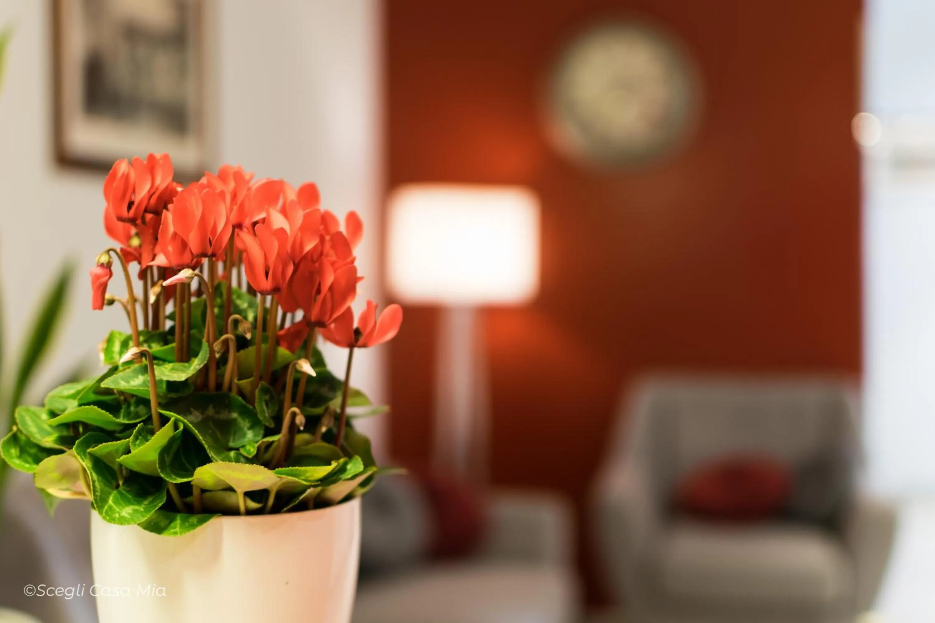 Lobby or reception in Ottocento Guest House