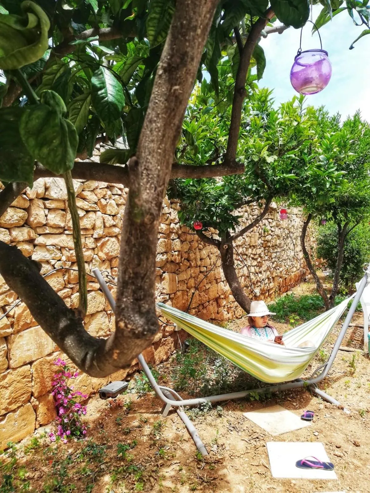 Area and facilities in Follow the Sun Boutique Hostel - Pool, Breakfast & Sea Views