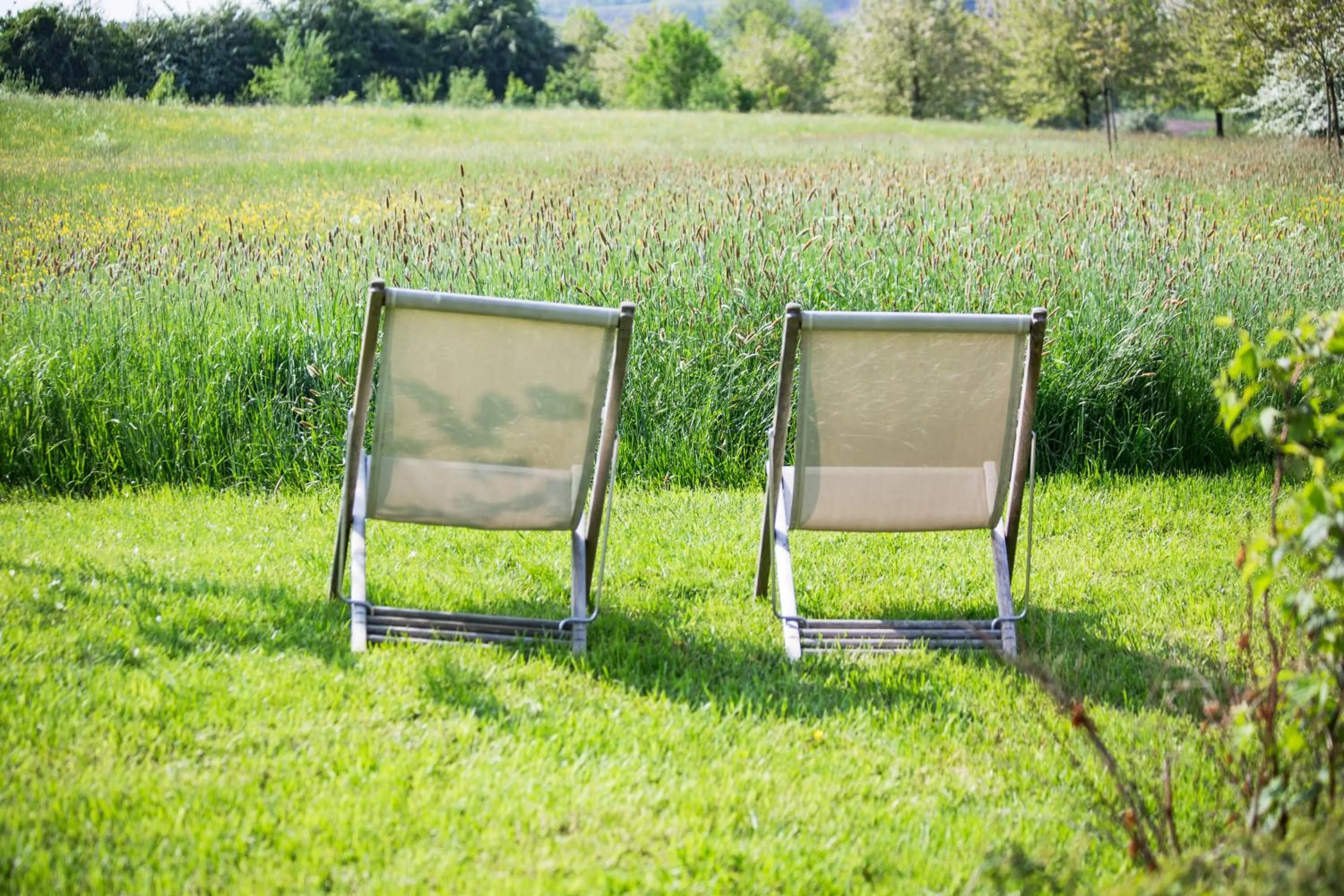 Garden view in côté verger B&B