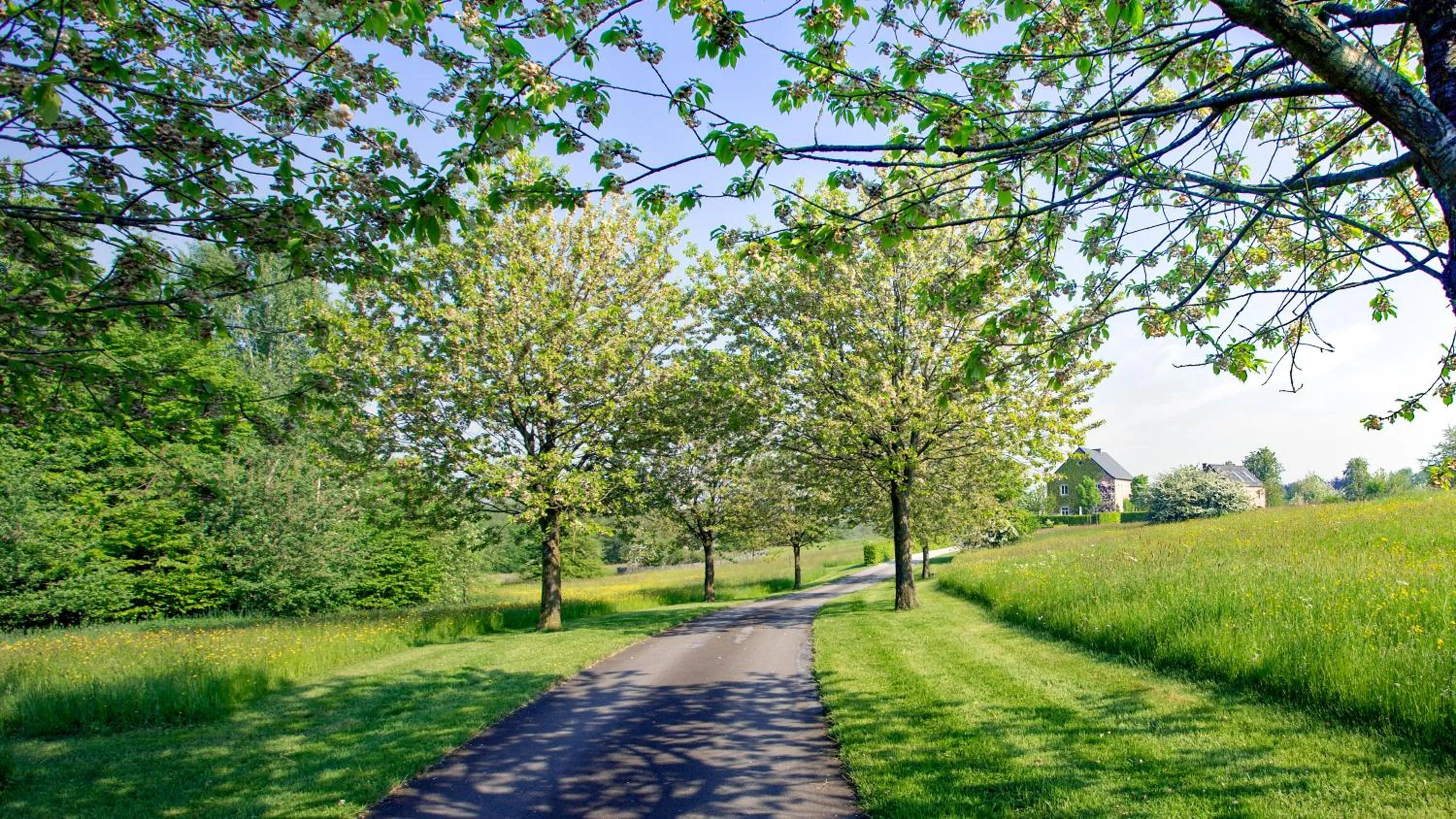 Other in côté verger B&B