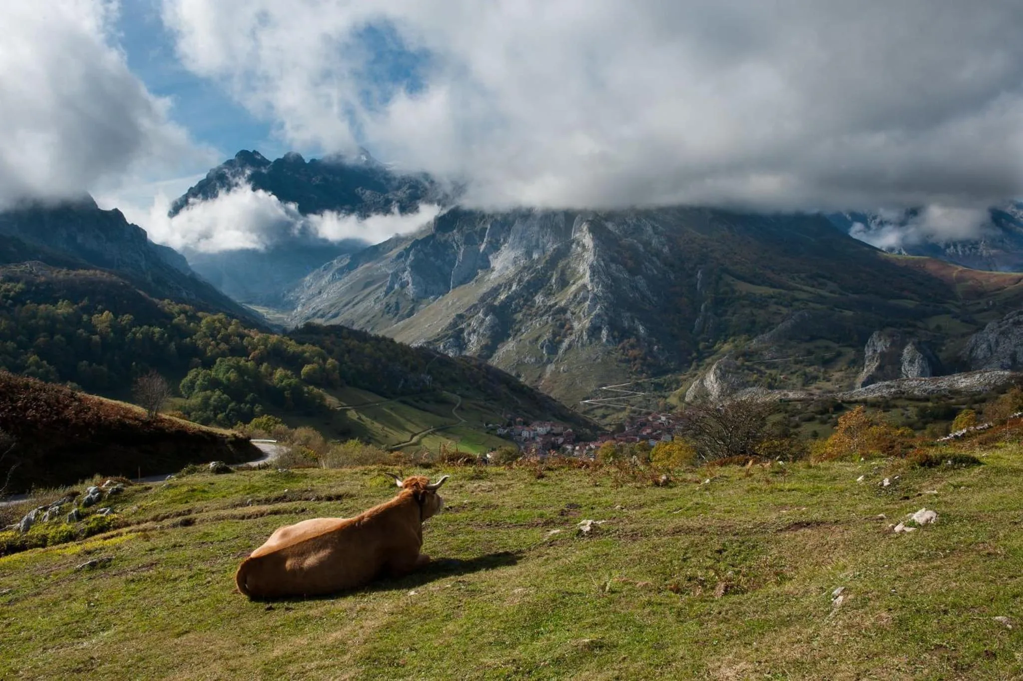 Natural landscape in Apartamentos Navalin