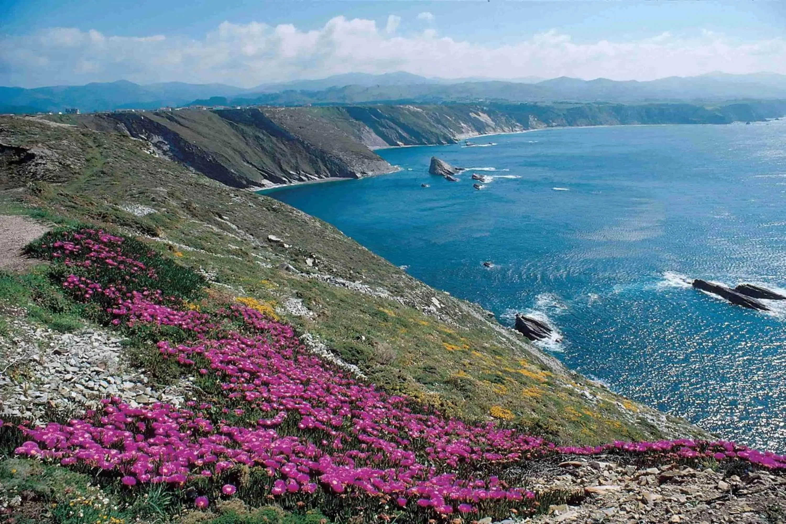Natural landscape in Apartamentos Navalin