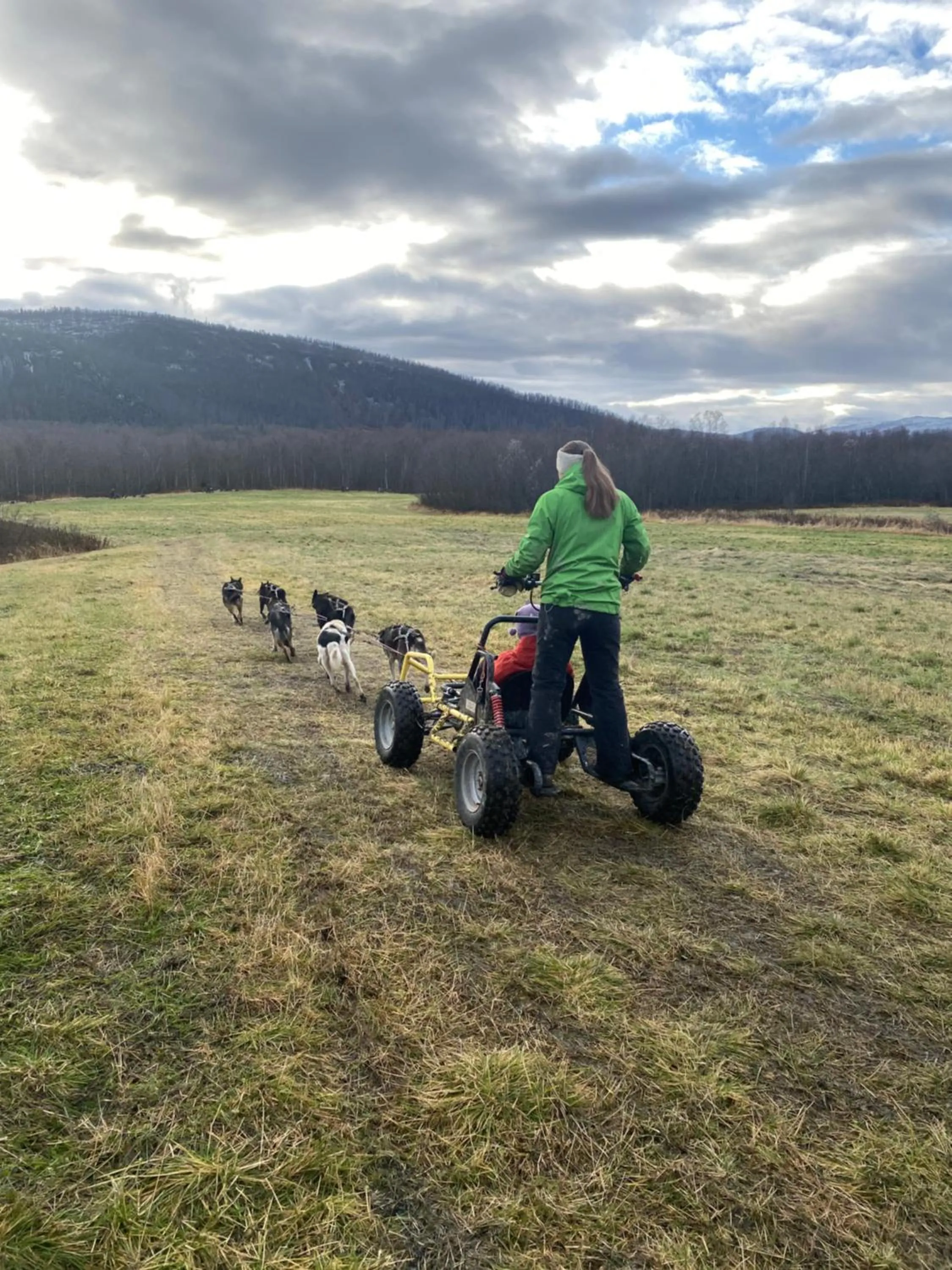 Neighbourhood in Bardufoss Hotell