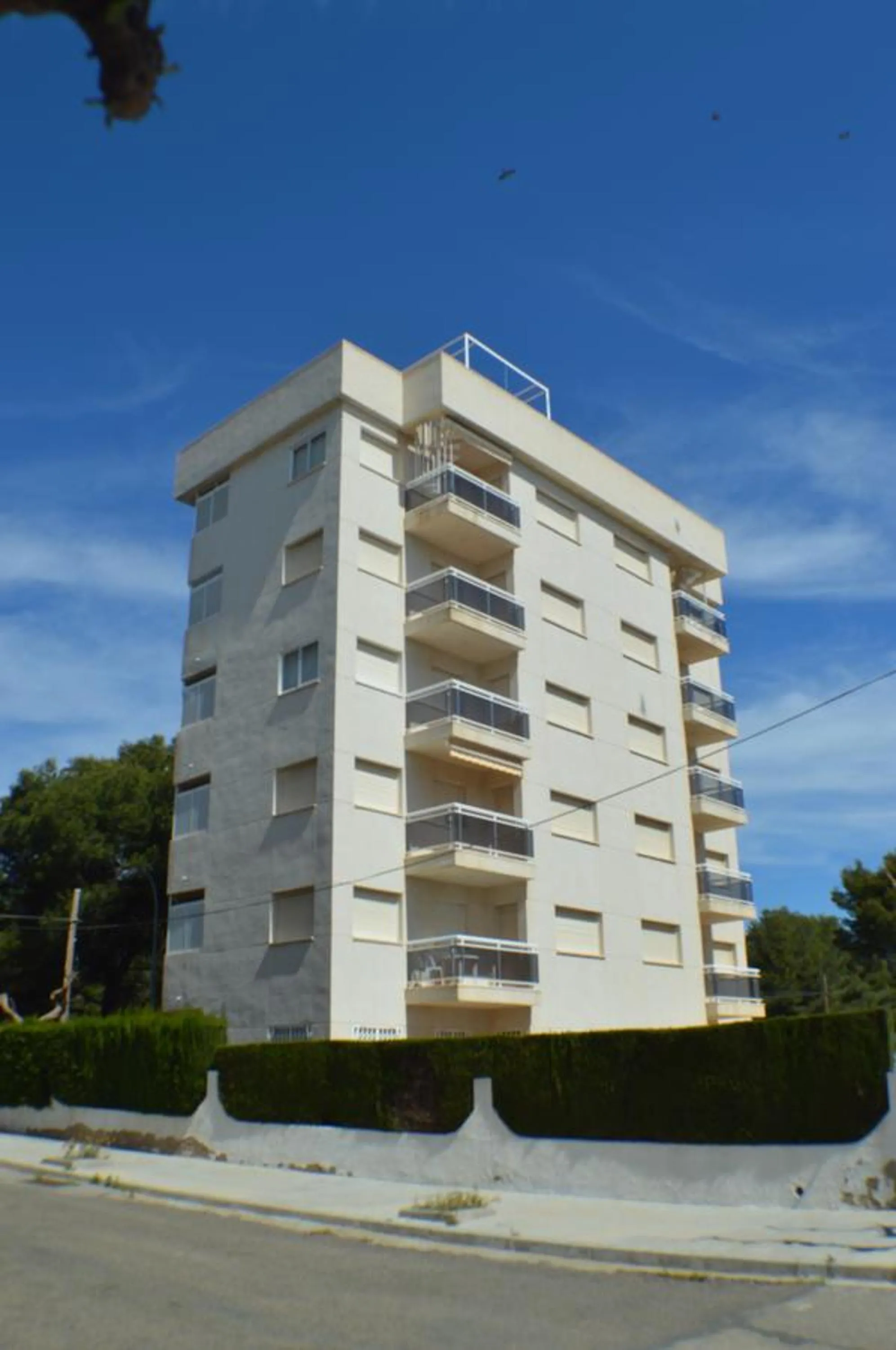 Garden in JOYAPARTMENTS Calas II